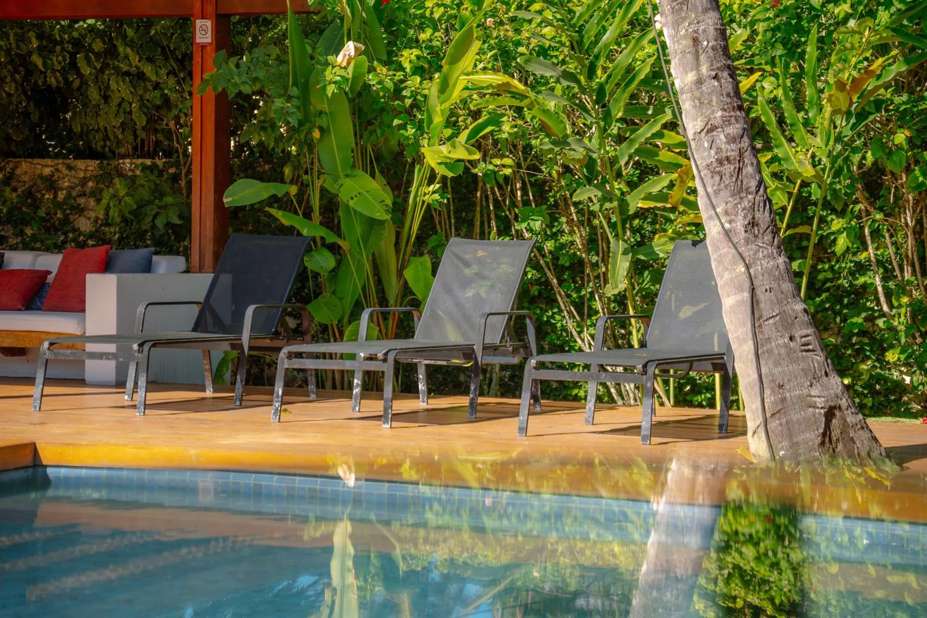 Swimming pool in Hotel Flamingo Beach by HC