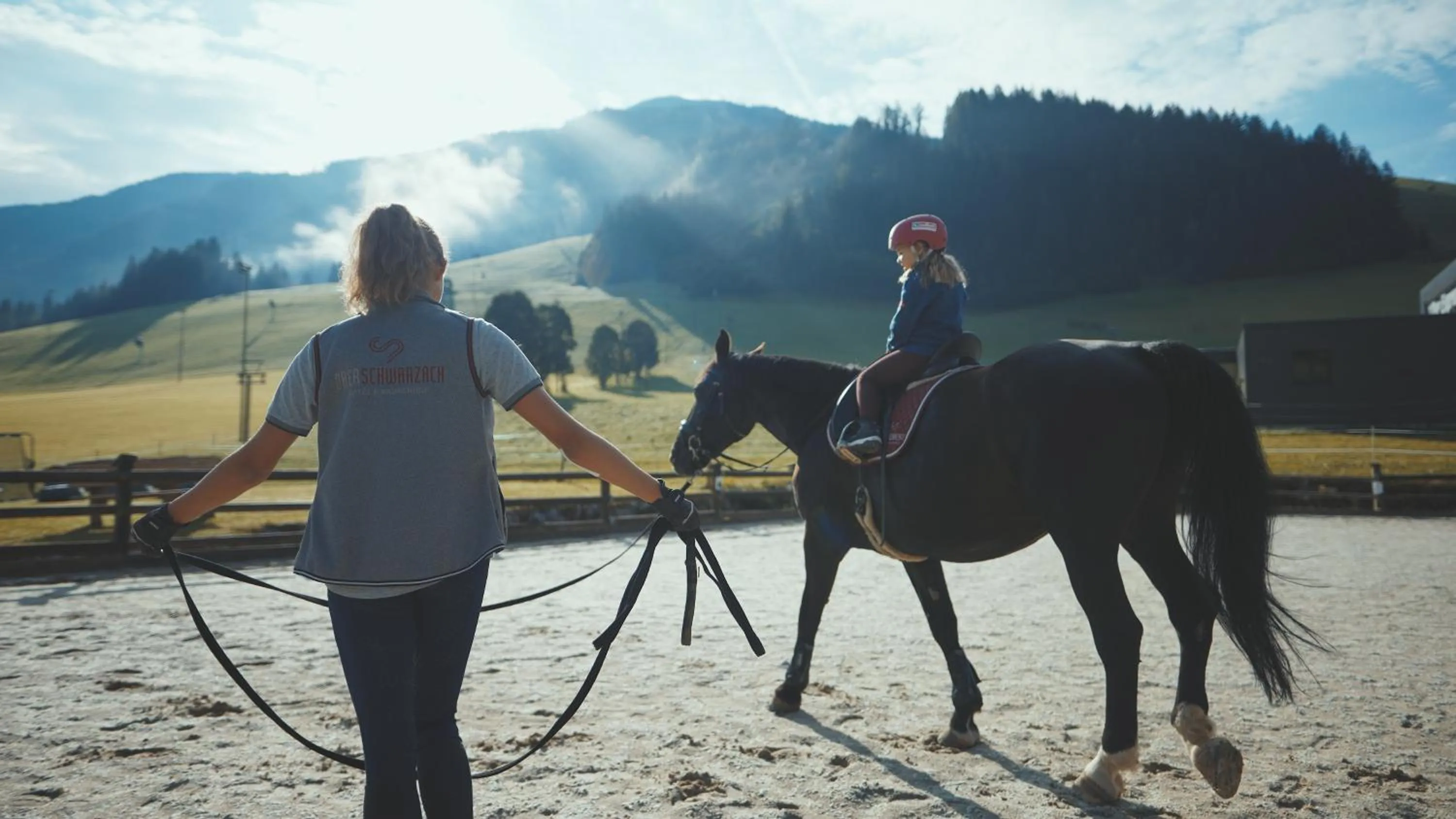 Bauernhof Hotel Oberschwarzach