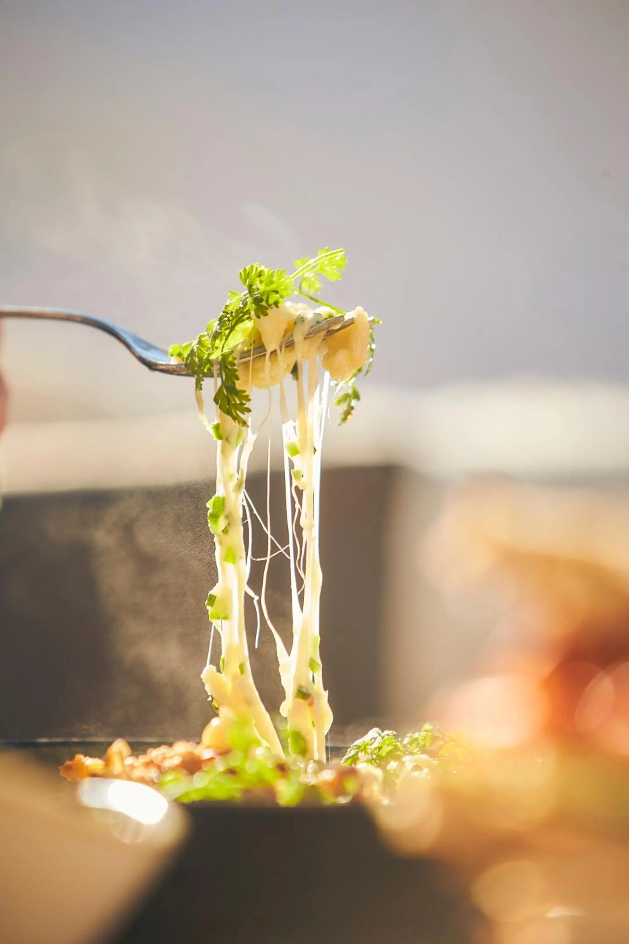 Bauernhof Hotel Oberschwarzach