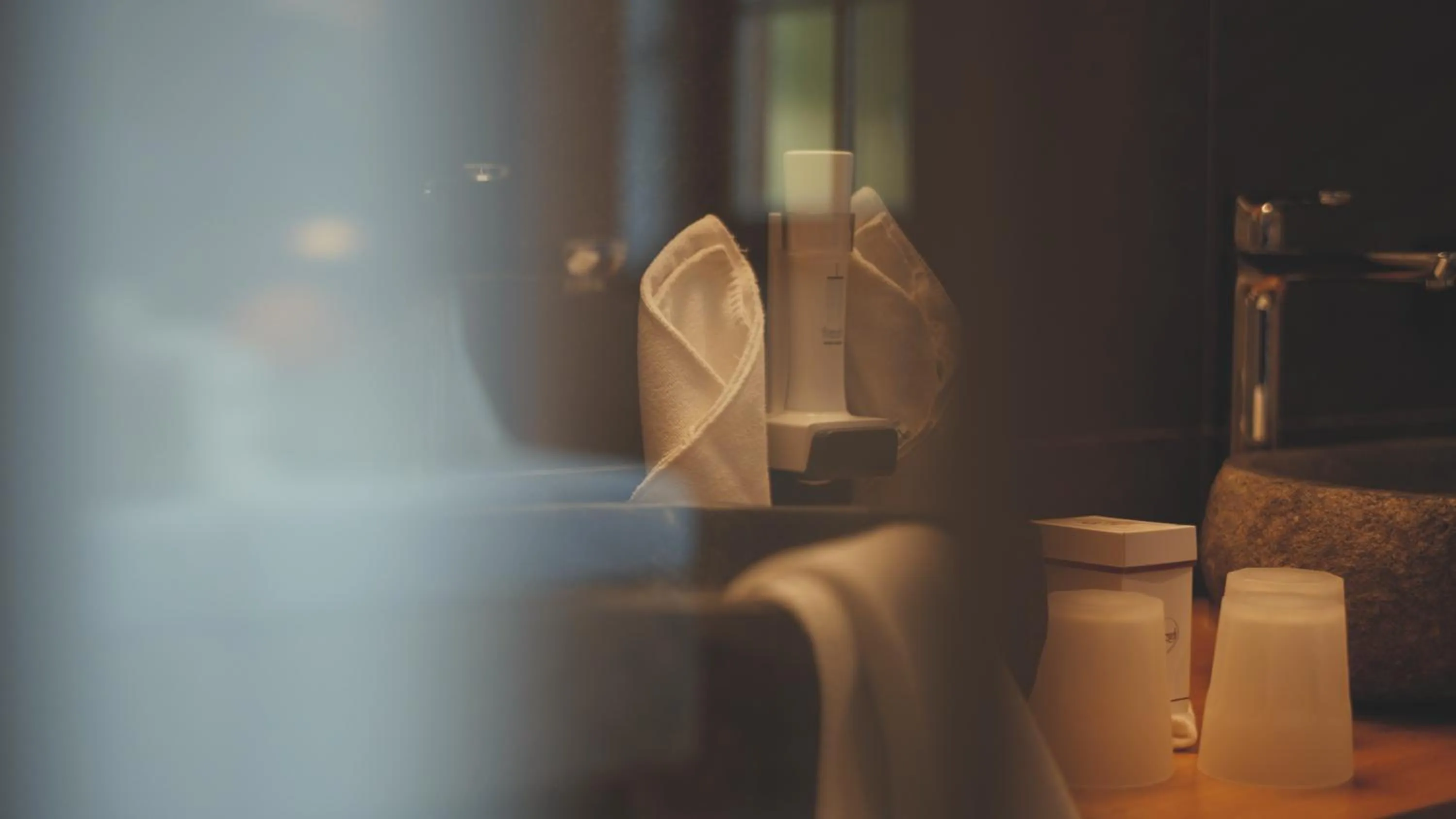 Bauernhof Hotel Oberschwarzach