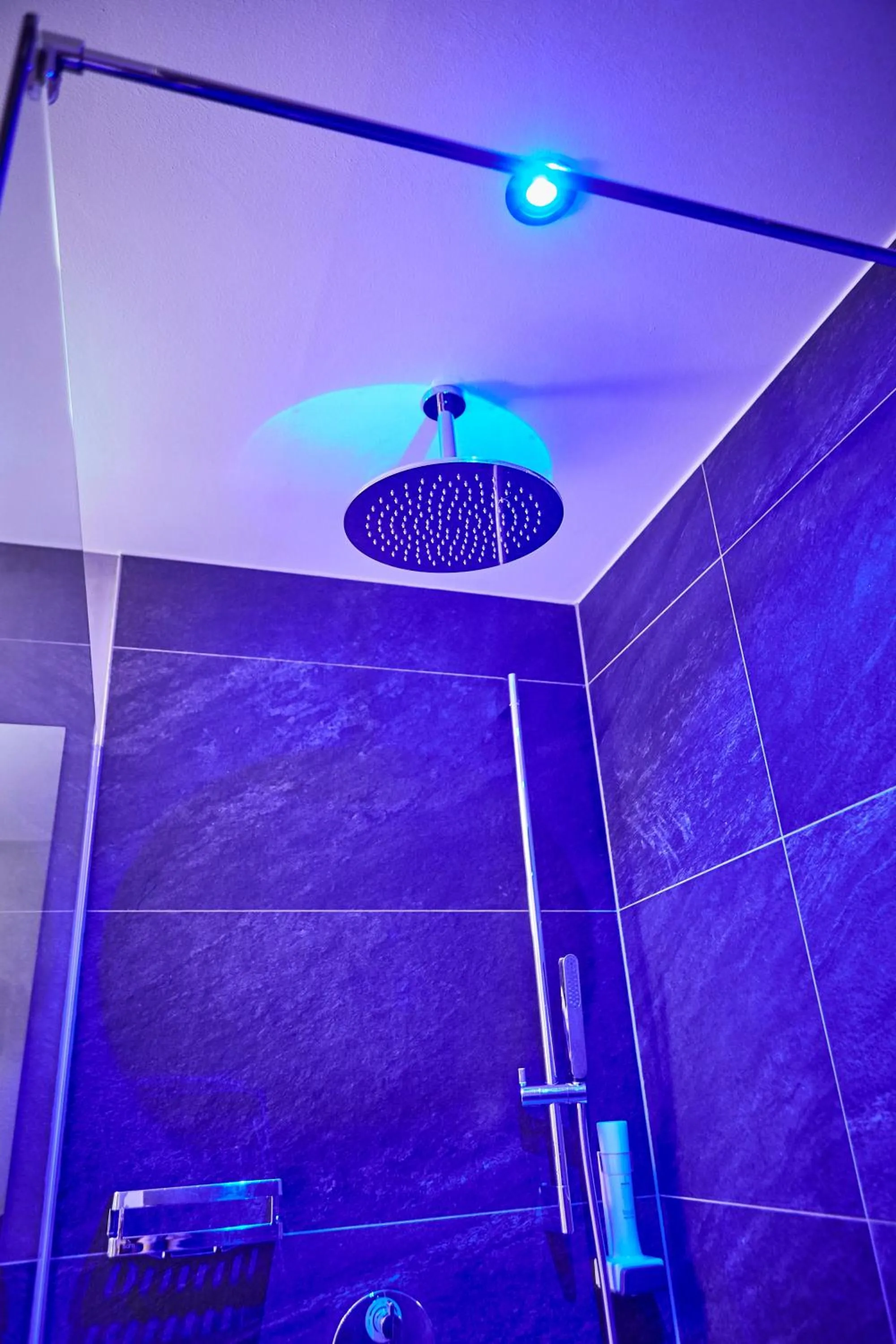 Bauernhof Hotel Oberschwarzach