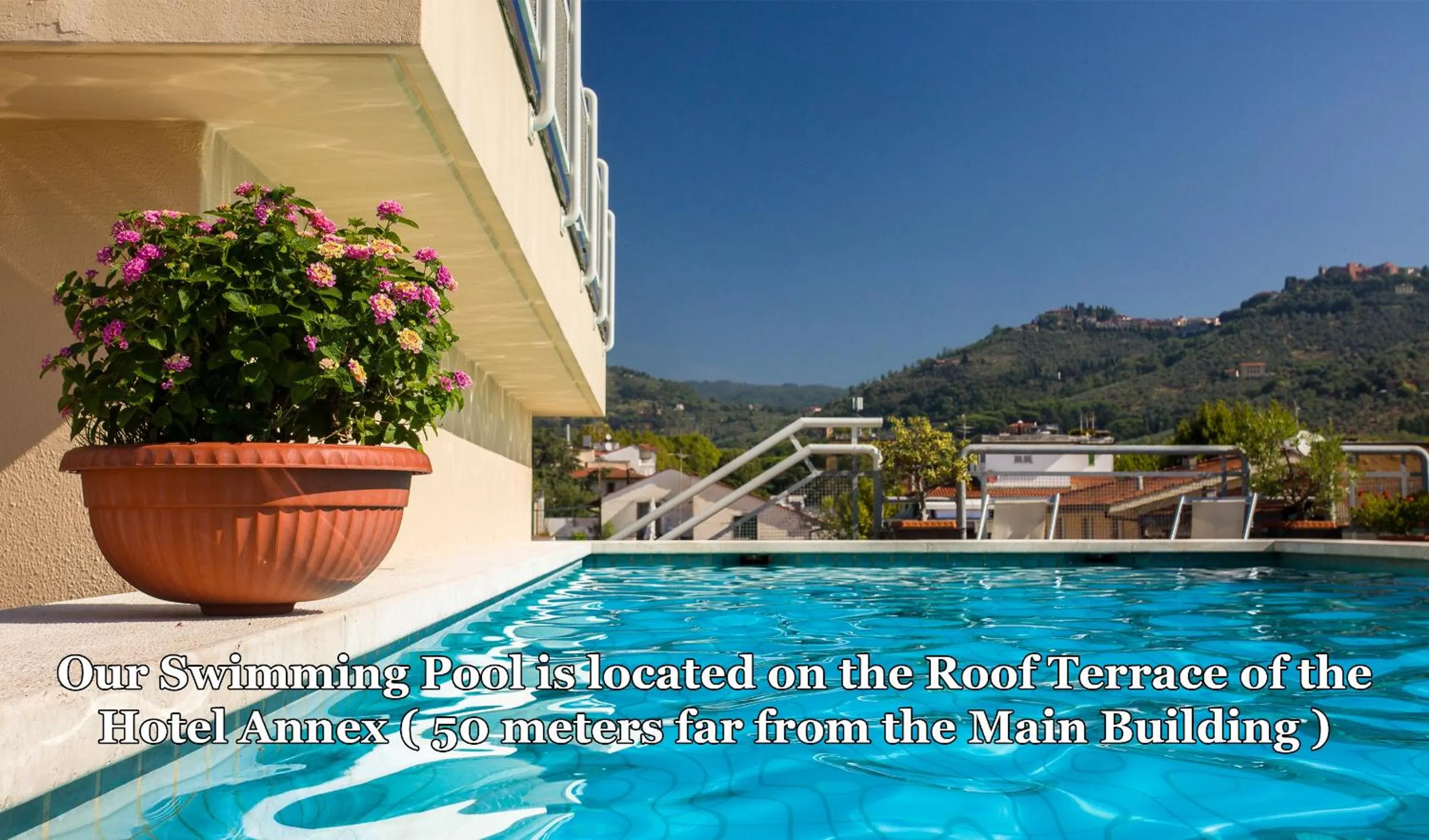 Pool view in Hotel Da Vinci