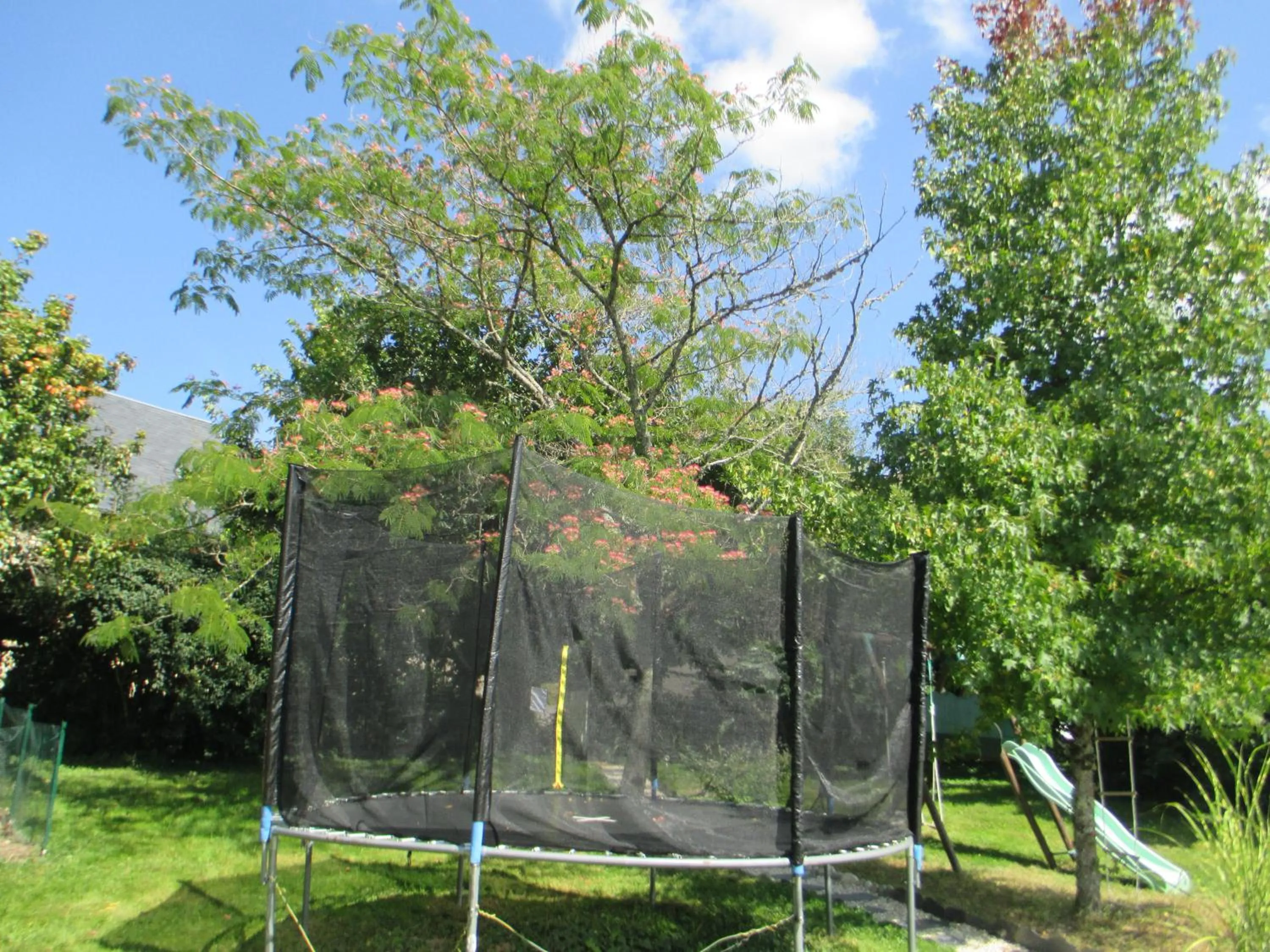 Garden in Pura Vida