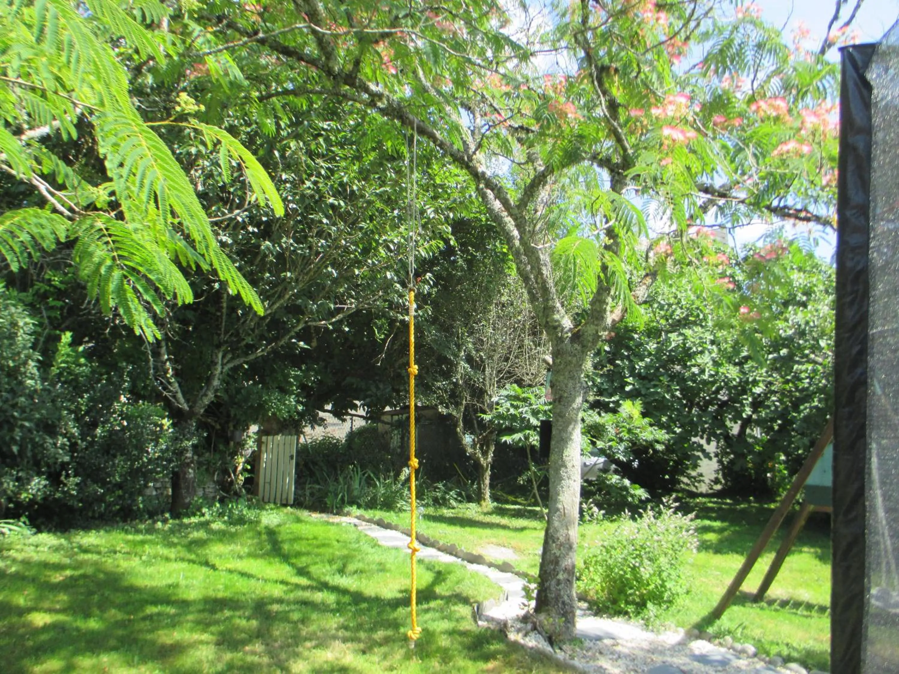 Patio in Pura Vida