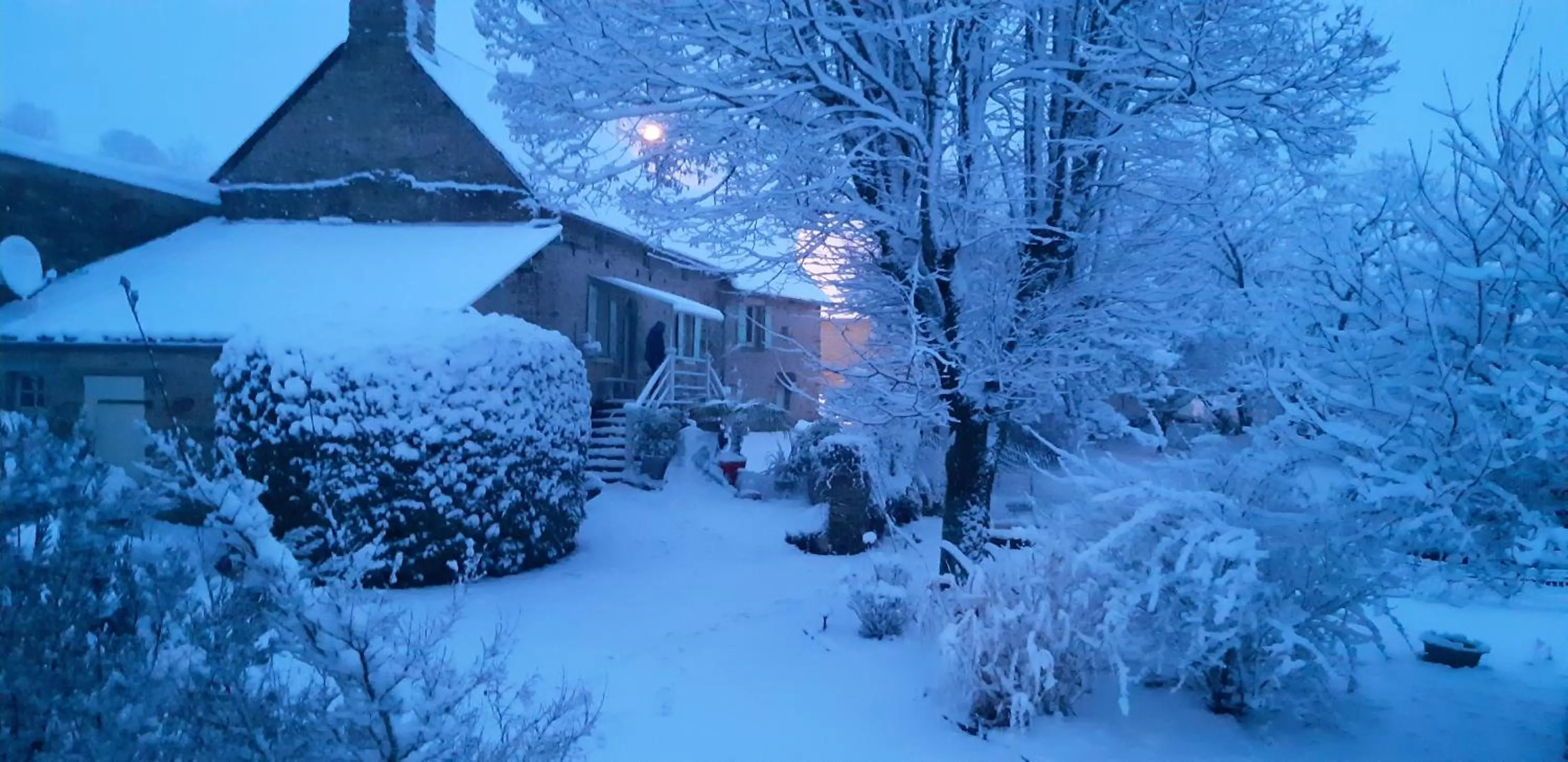 Winter in Pura Vida