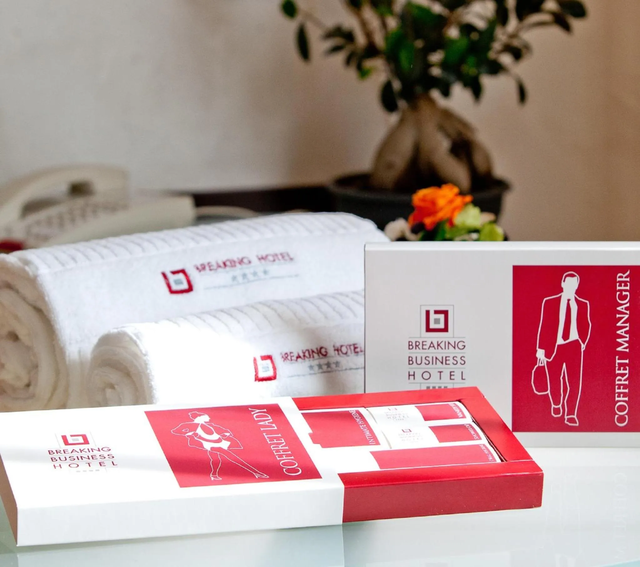 Other in Breaking Business Hotel