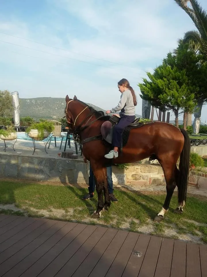 Horse-riding in Ariadnes Holiday Accommodation