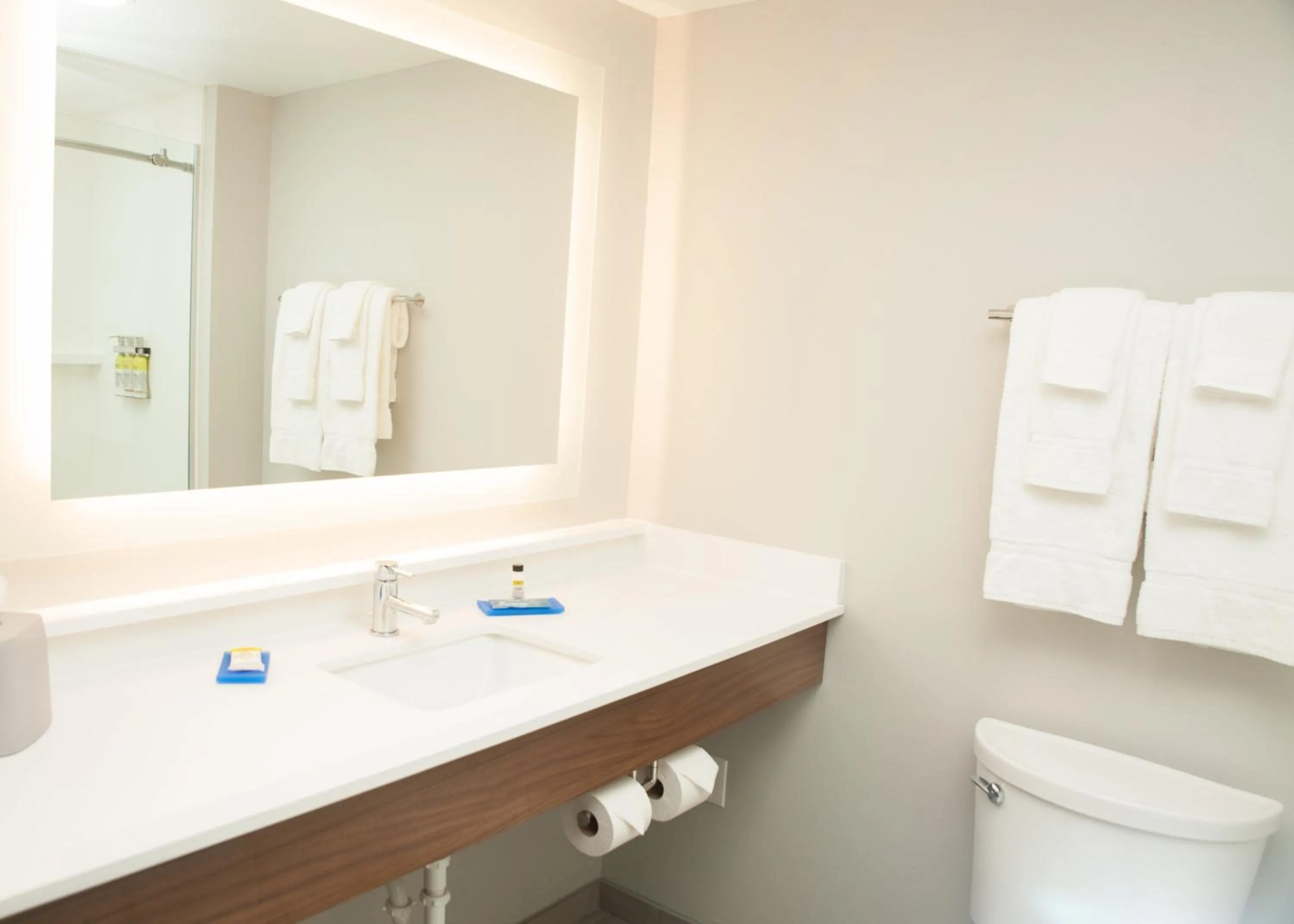 Holiday Inn Express Hotel & Suites Norfolk by IHG