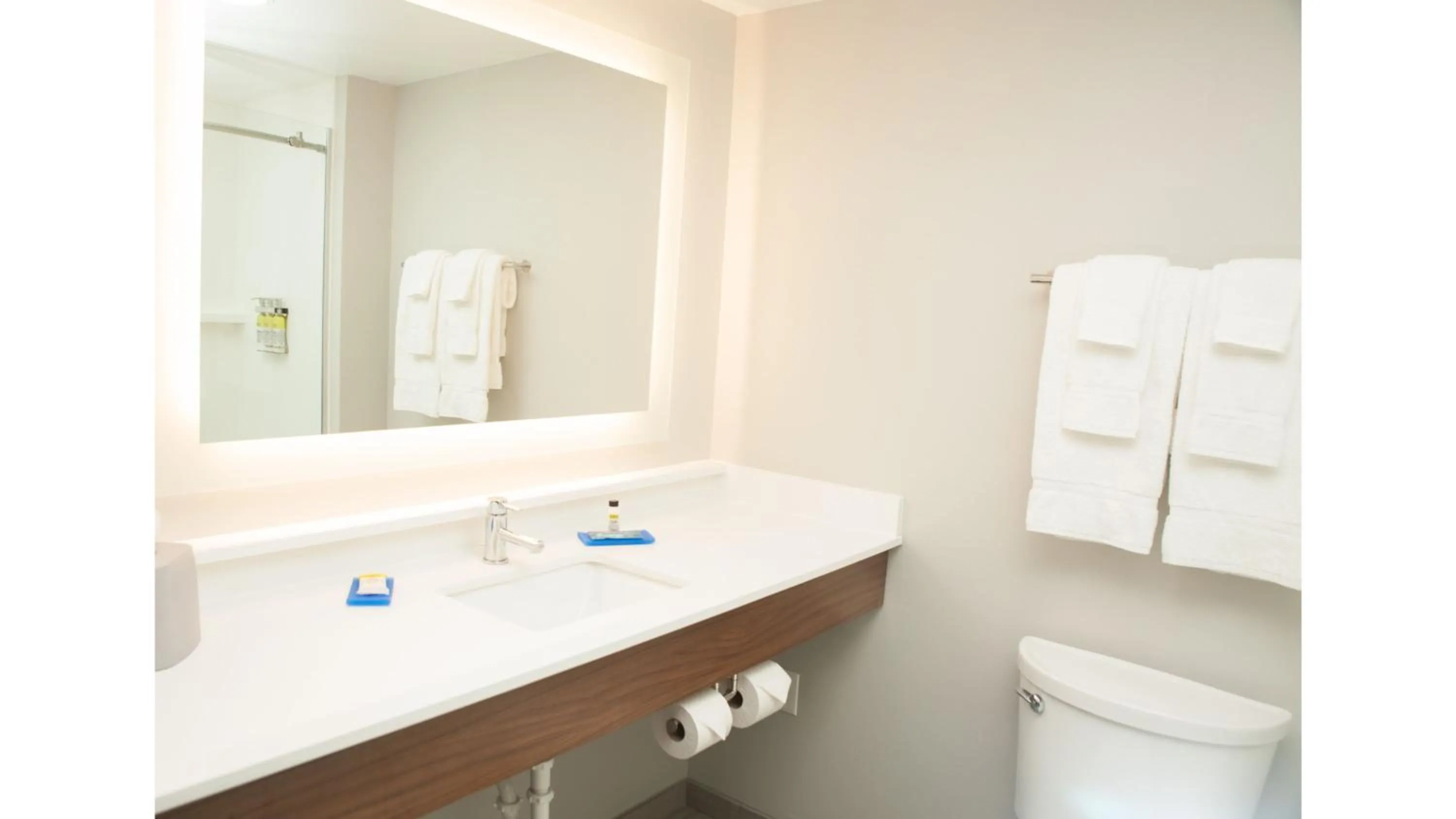 Bathroom in Holiday Inn Express Hotel & Suites Norfolk by IHG