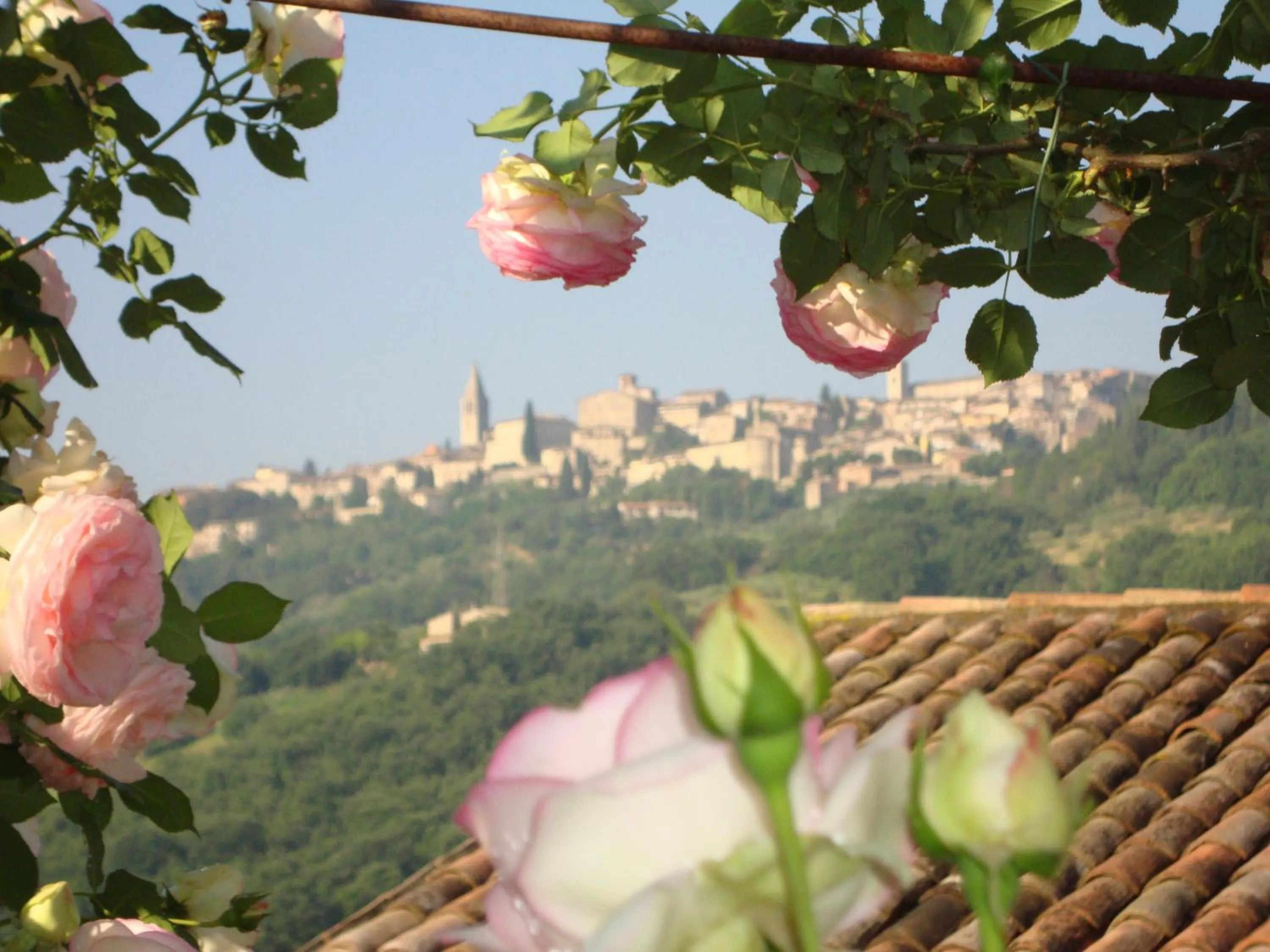 City view in Agriturismo Borgo Montecucco