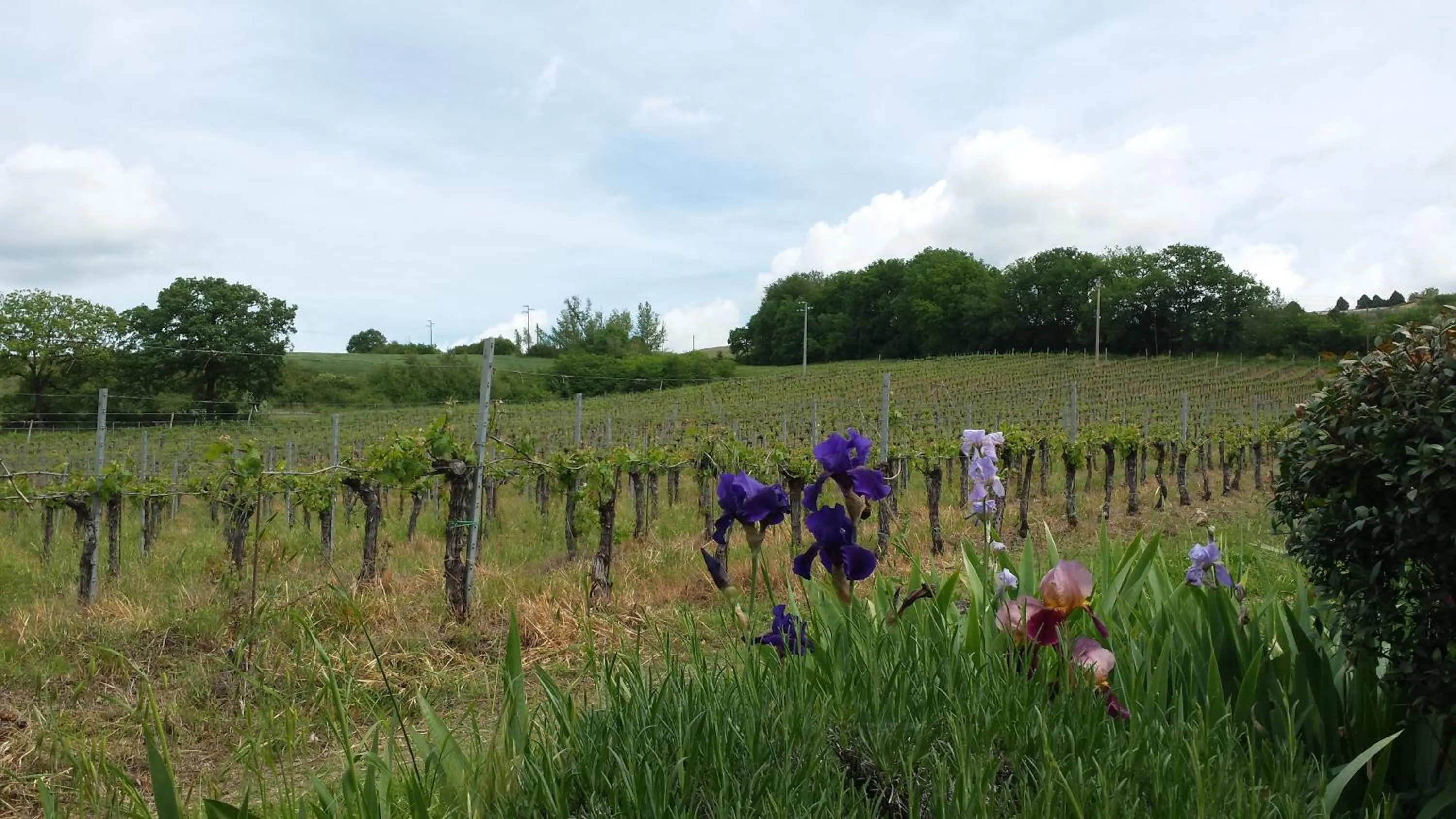 Agriturismo Borgo Montecucco