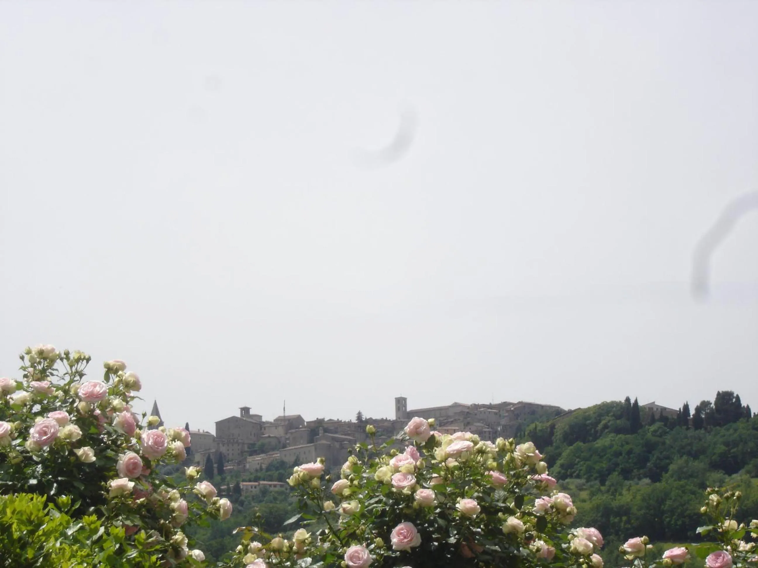 City view in Agriturismo Borgo Montecucco