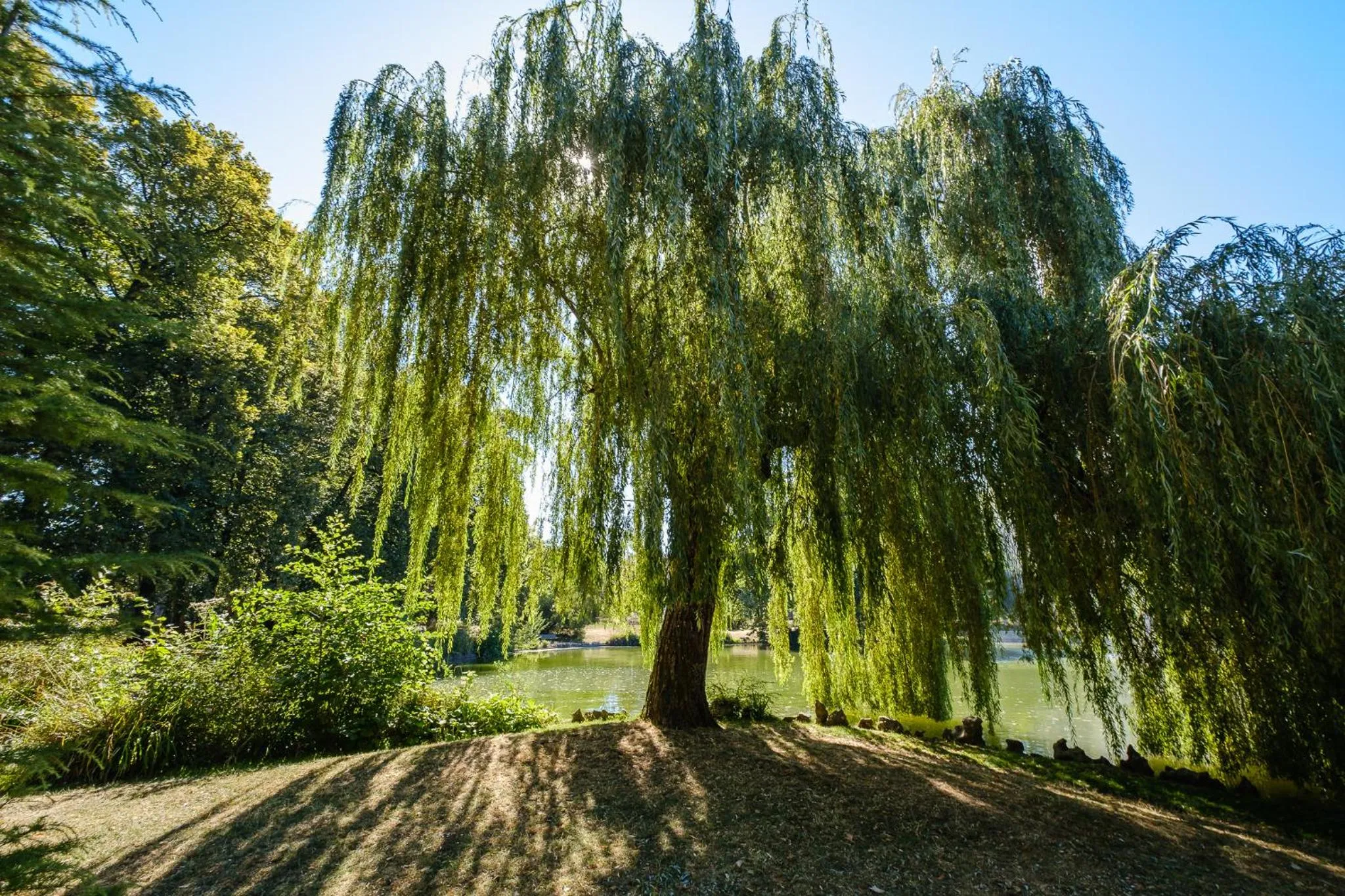 Day in Residence Des Thermes