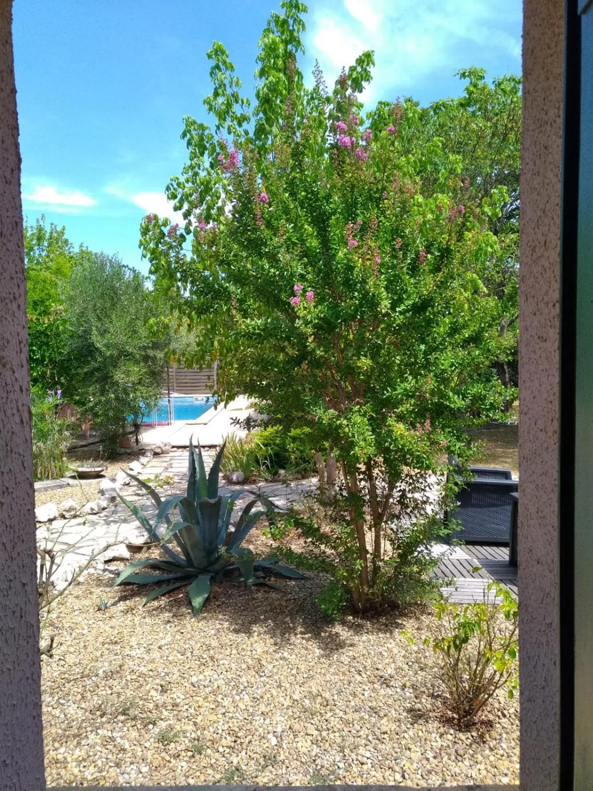 Garden in Le clos des olivettes