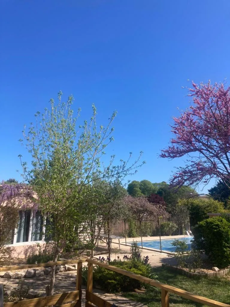 Garden in Le clos des olivettes