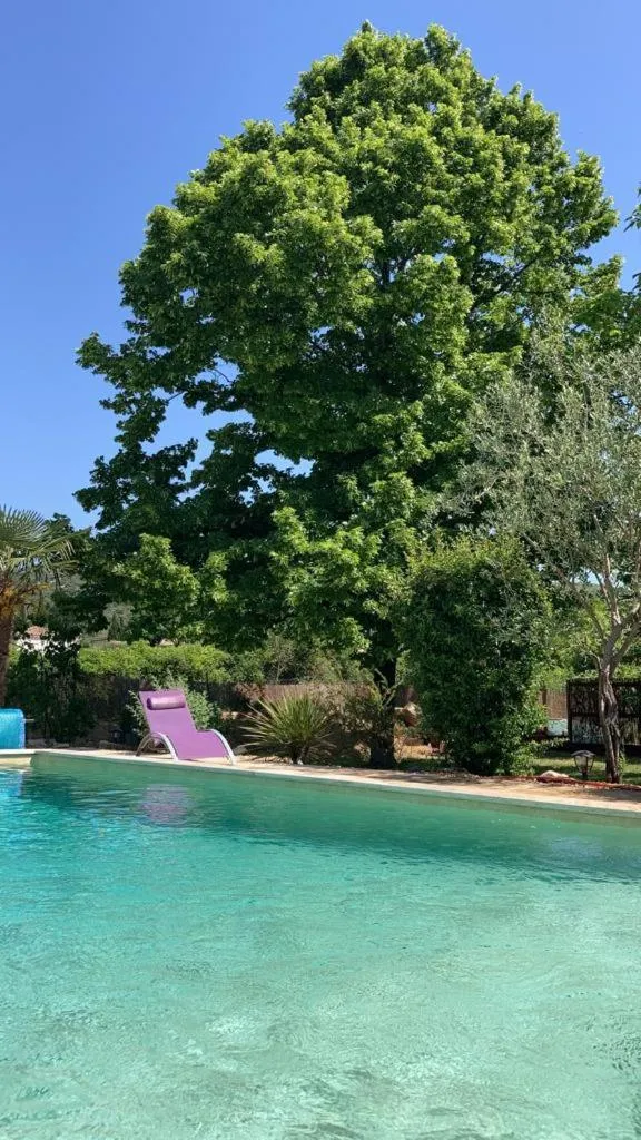 Pool view in Le clos des olivettes