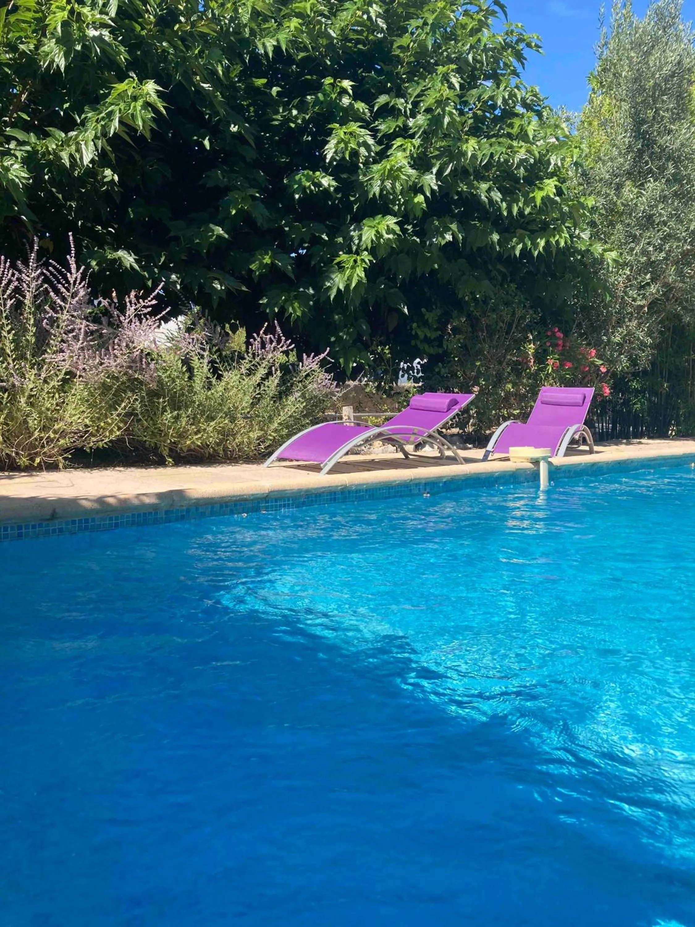 Swimming pool in Le clos des olivettes