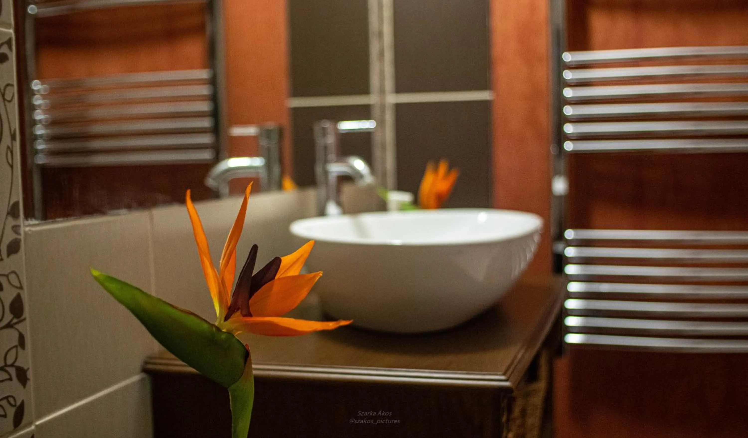 Bathroom in Pollushof Panzió és Étterem