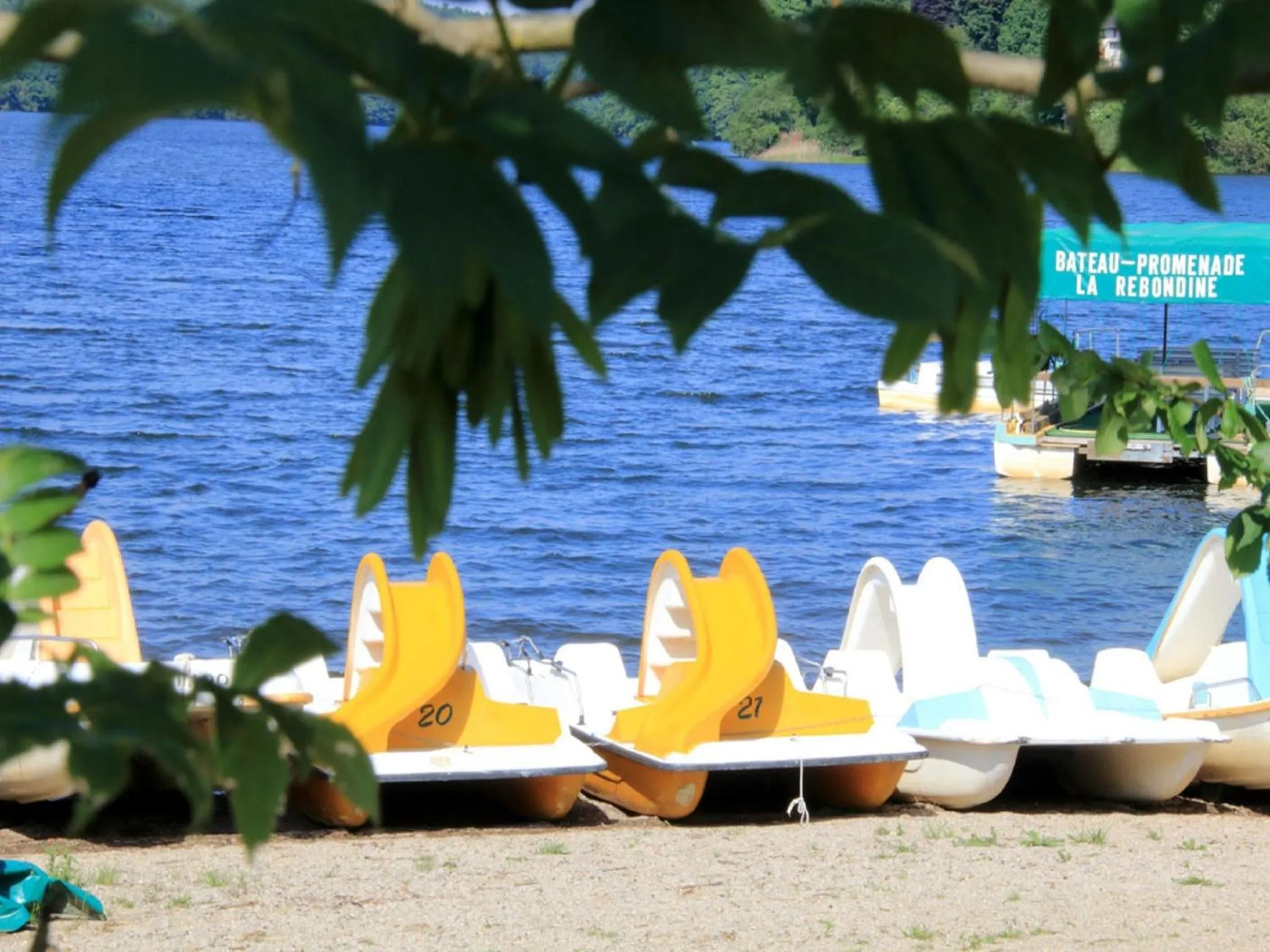 Lake view in Demeure de Flore