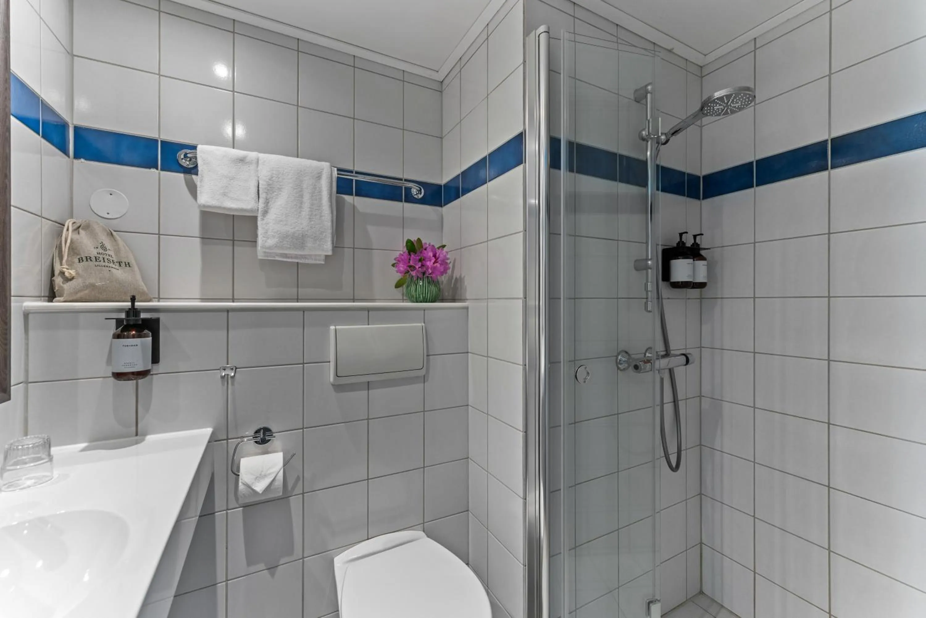 Shower in Hotel Breiseth