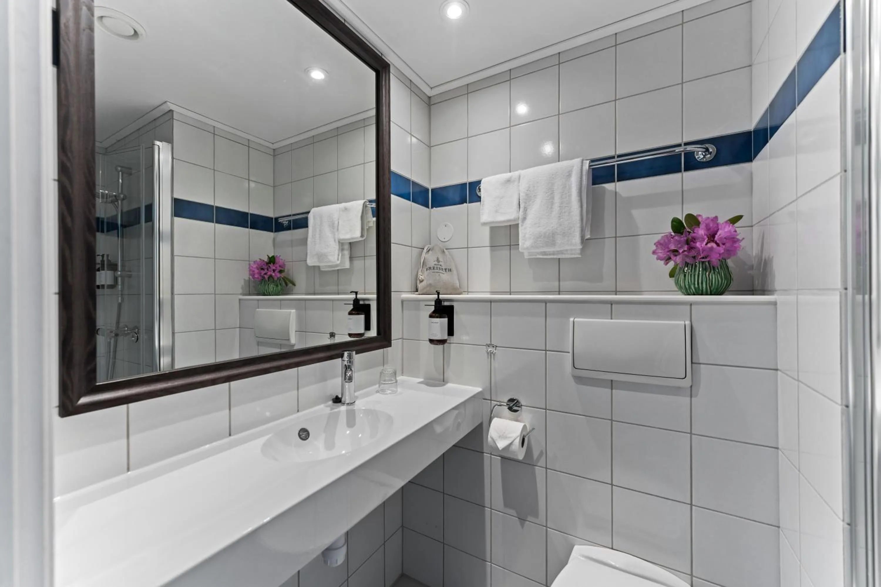 Bathroom in Hotel Breiseth