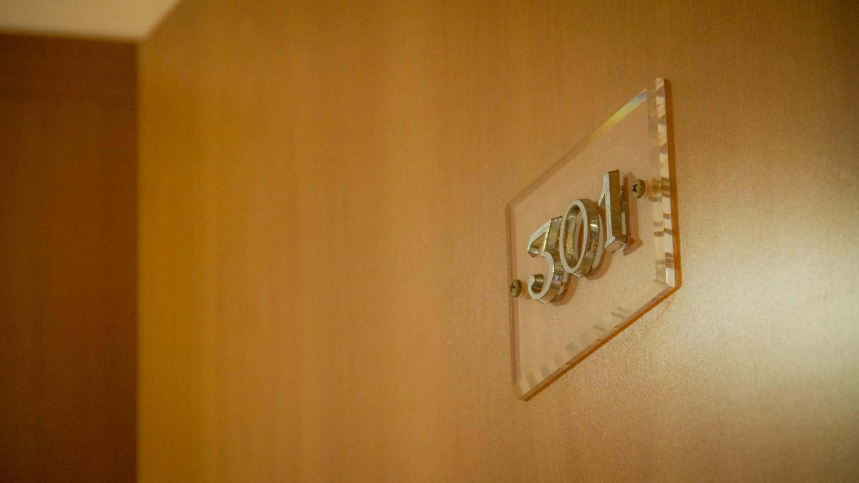 Area and facilities in Hostal Meseguer