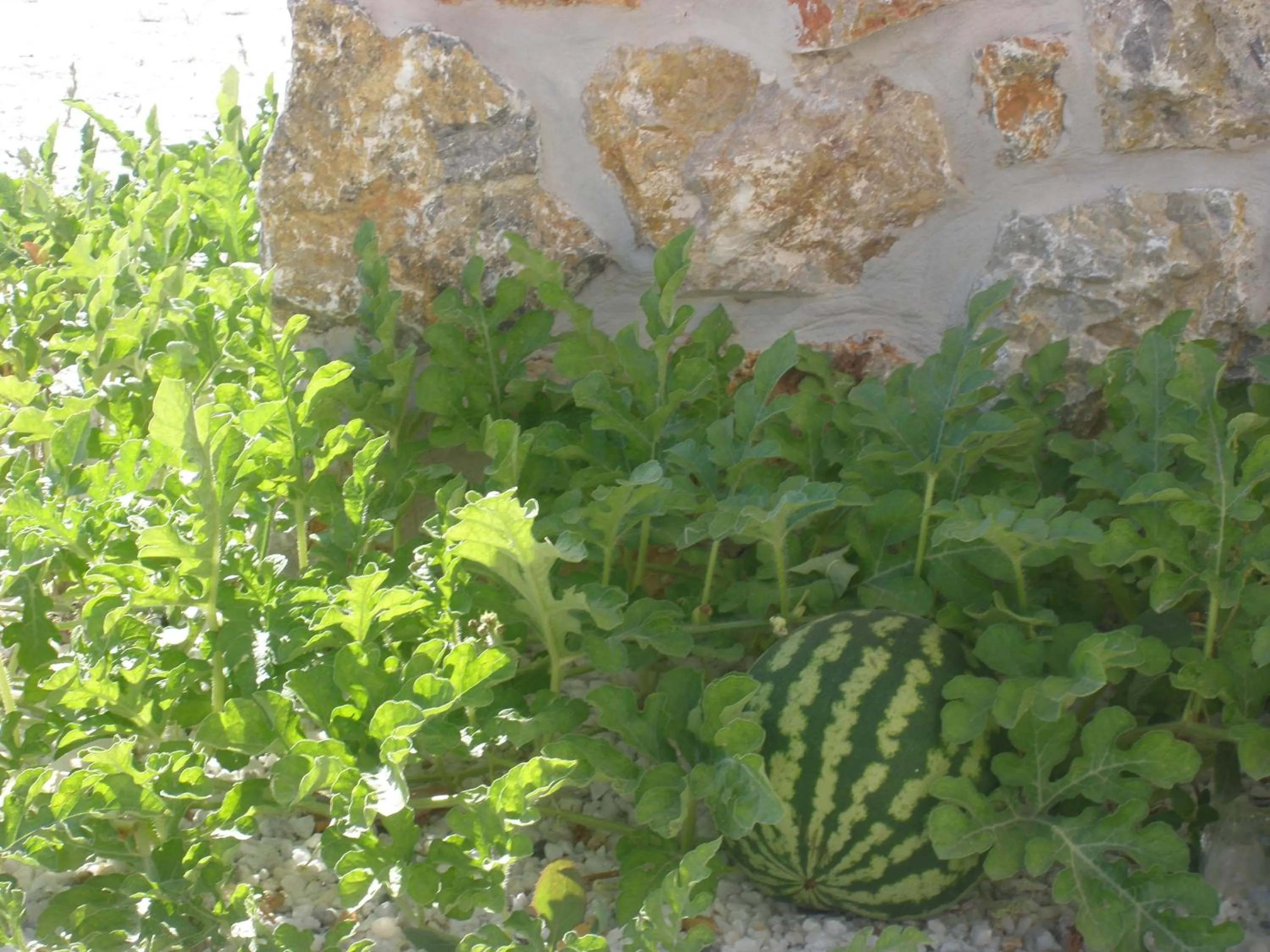 Other in Blue Harmony Apartments