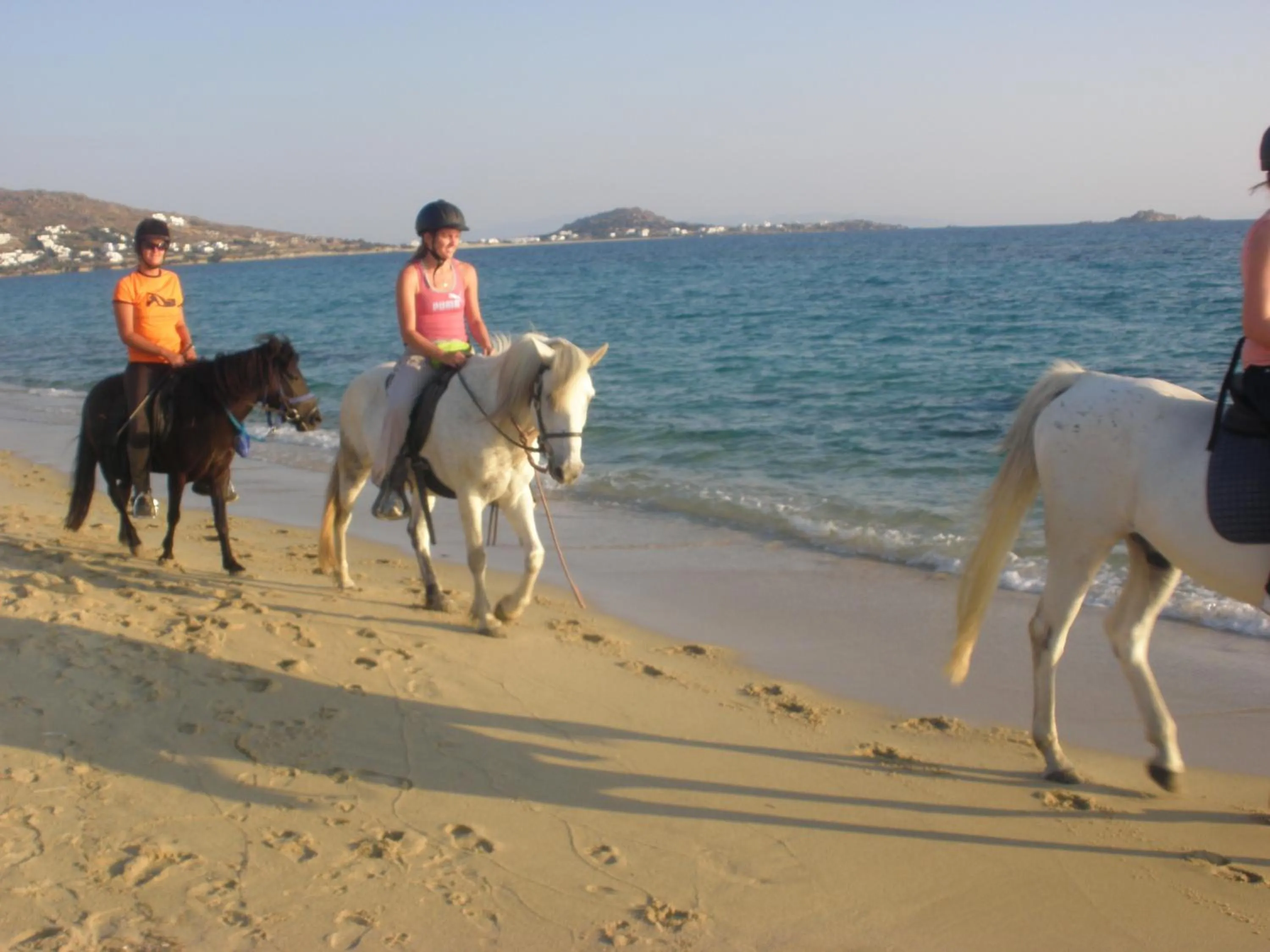 Beach in Blue Harmony Apartments