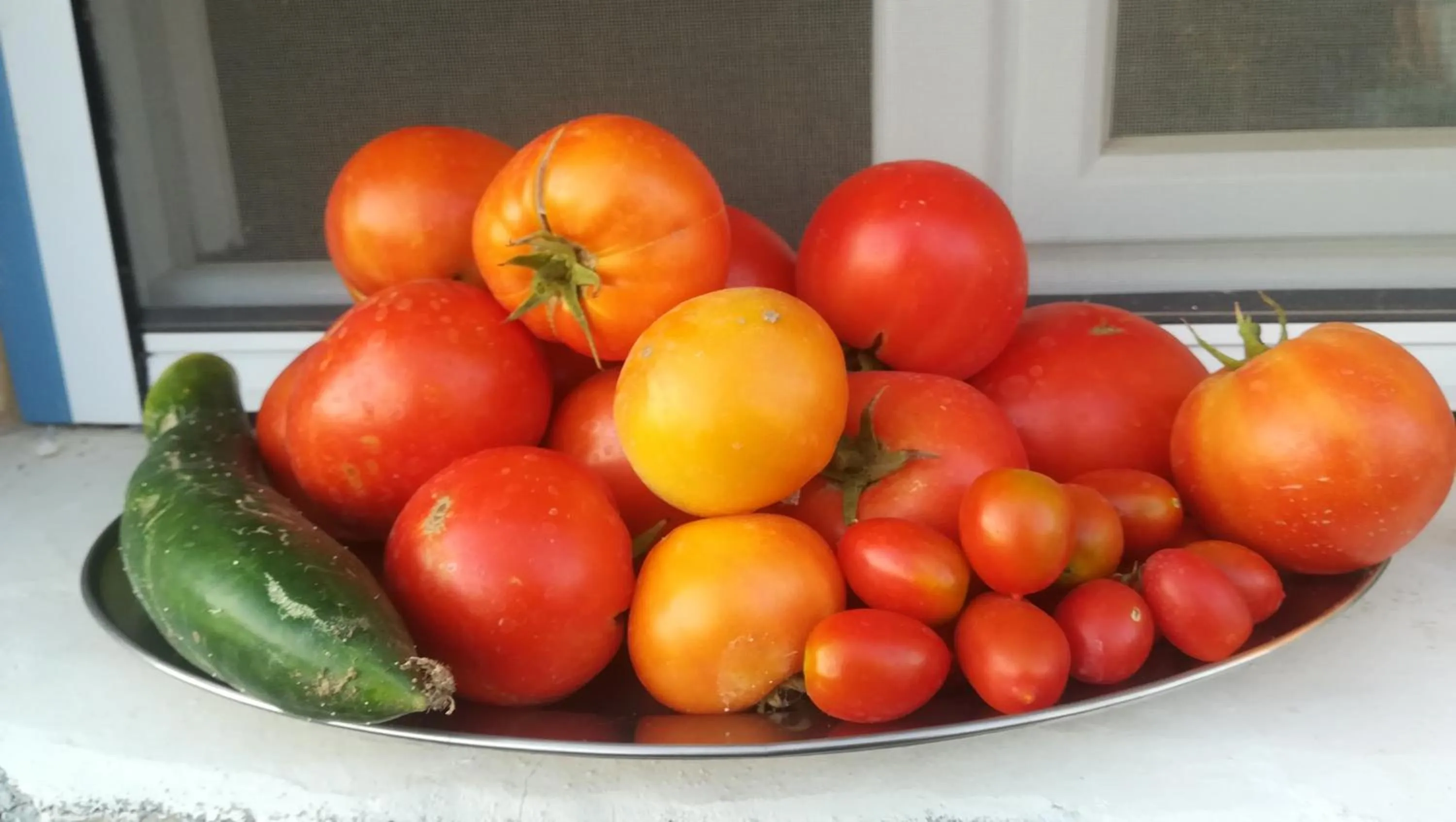 Garden in Blue Harmony Apartments