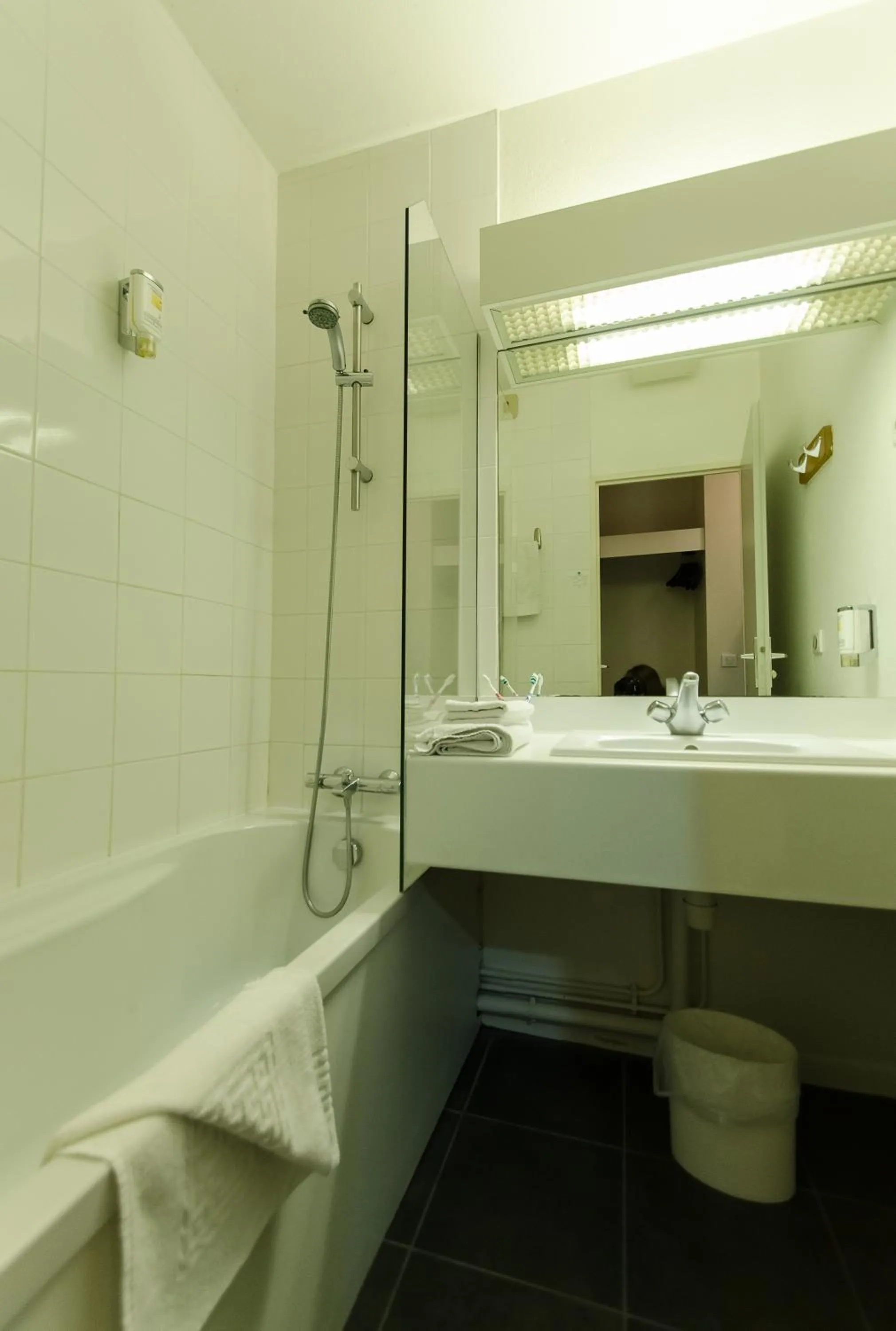 Bathroom in Hôtel Agena