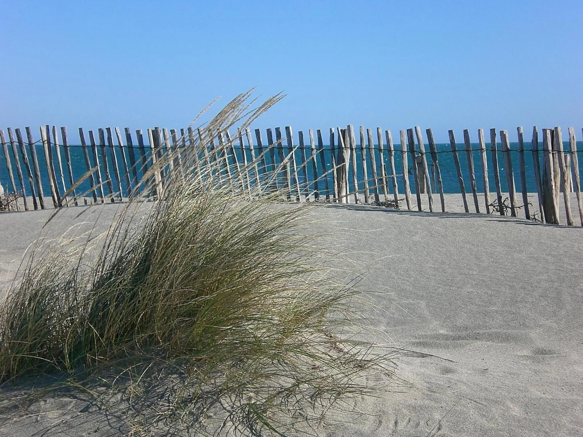 Area and facilities in Lagrange Grand Bleu Vacances – Résidence Le Mas de Torreilles