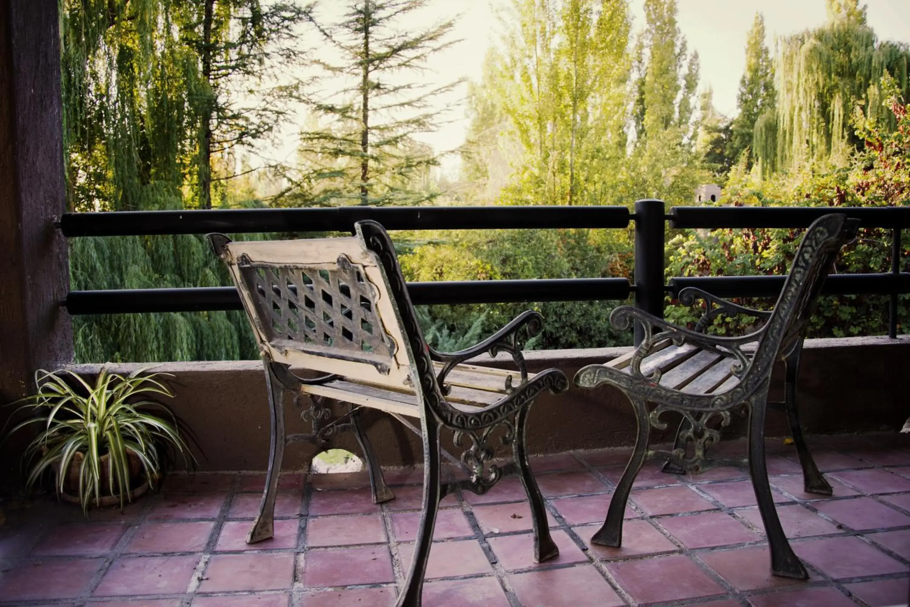Queen Suite with Pool View in Casa Lopez Queen Suite with Pool View in Casa Lopez