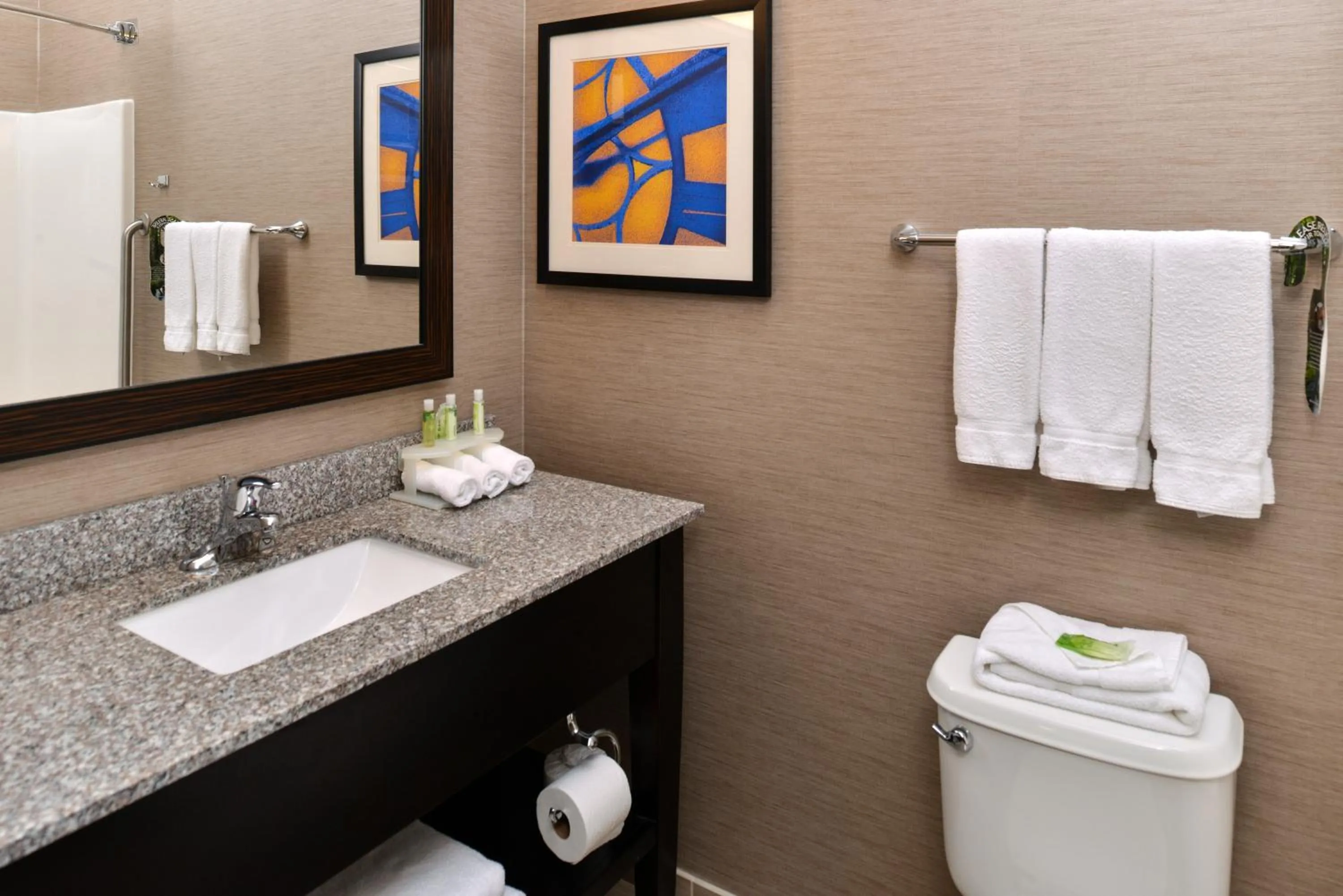 Bathroom in Holiday Inn Express Hotel & Suites St. Louis West-O'Fallon by IHG