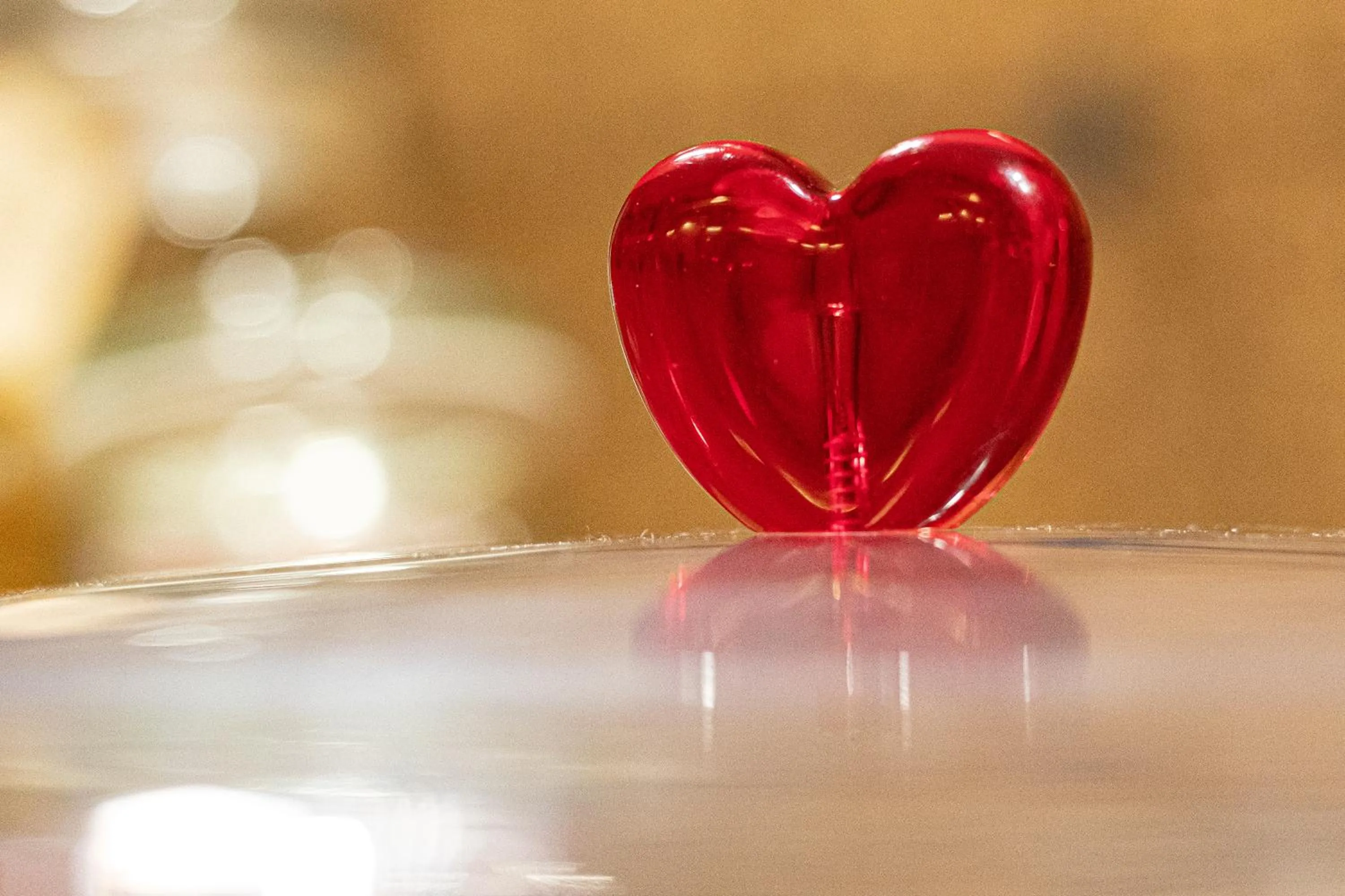 Decorative detail in Lotus House