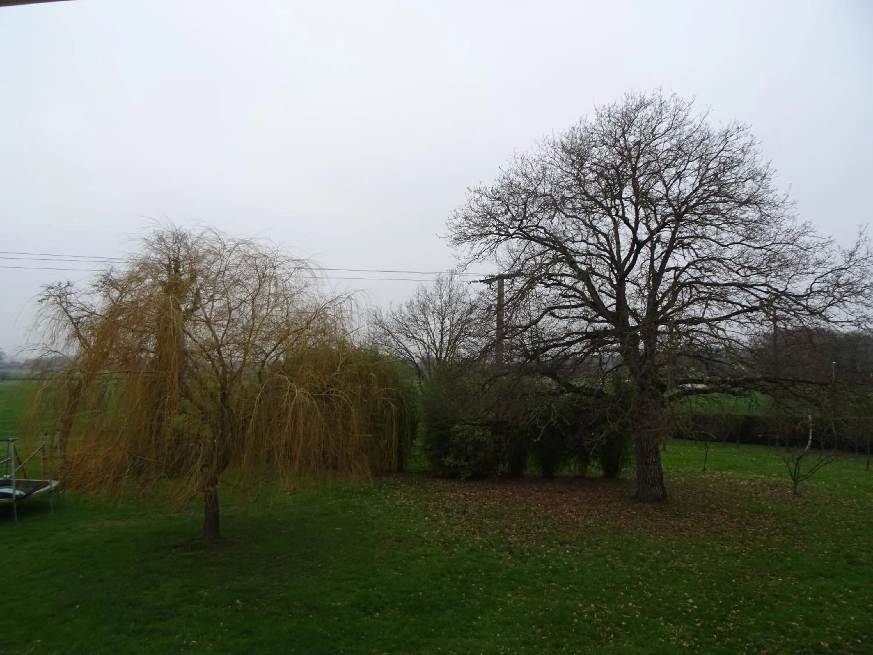 Garden view in Cafecouet'Breizh
