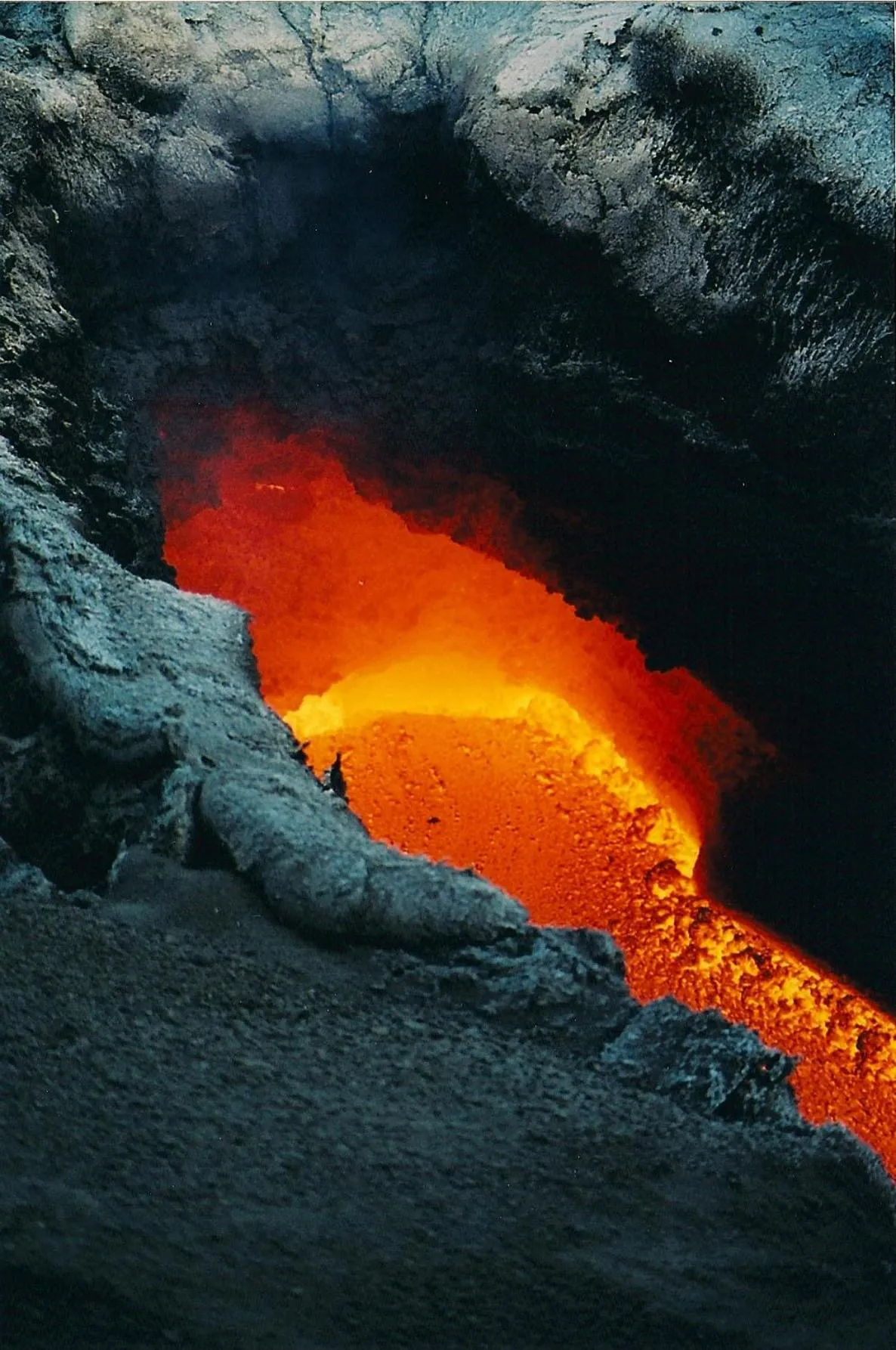 Bouganville Residence