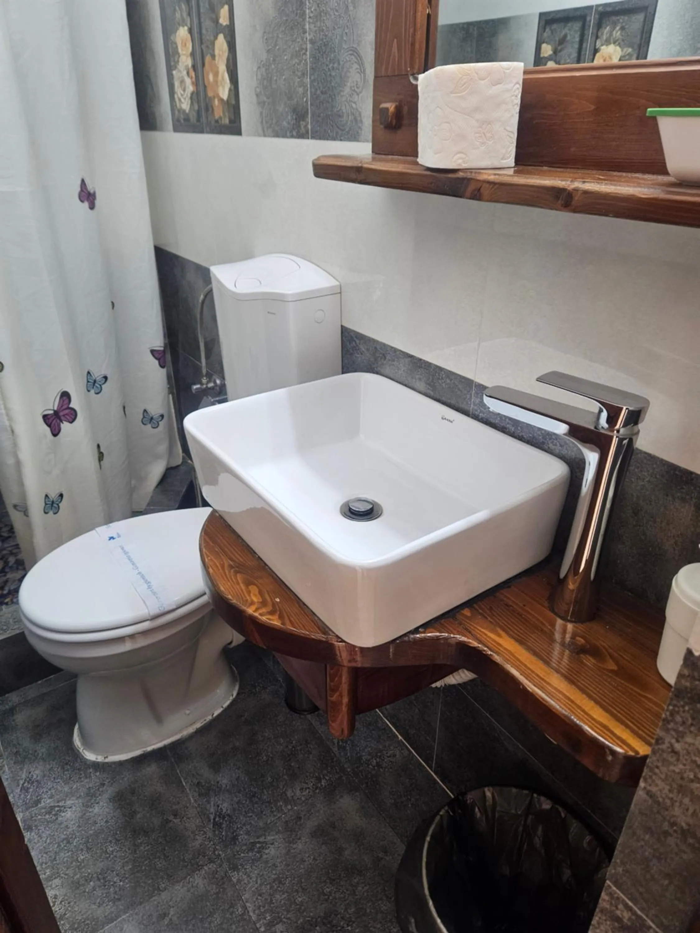 Toilet in Pensiunea Geostar