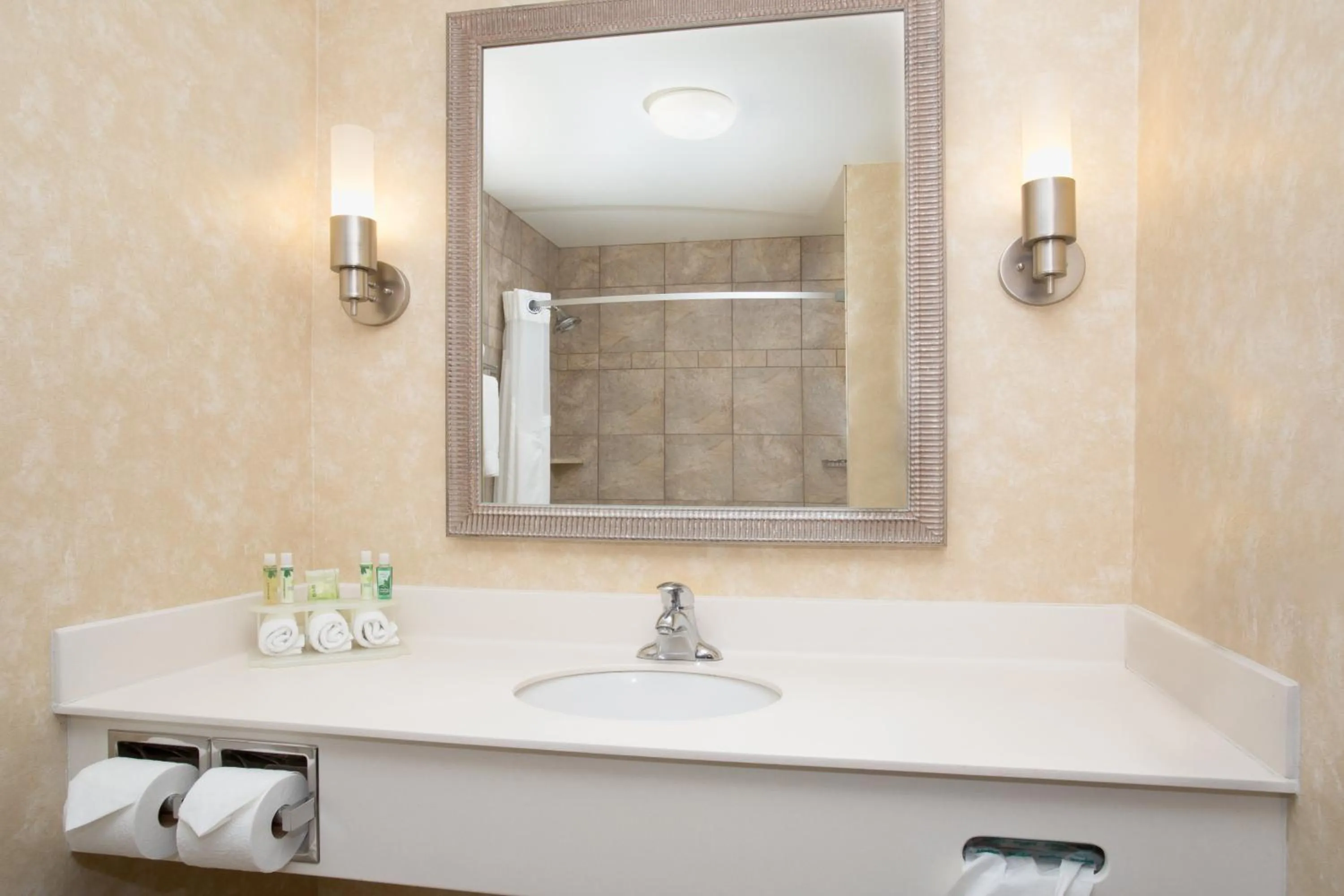Bathroom in Holiday Inn Express Hotel & Suites Minot South by IHG