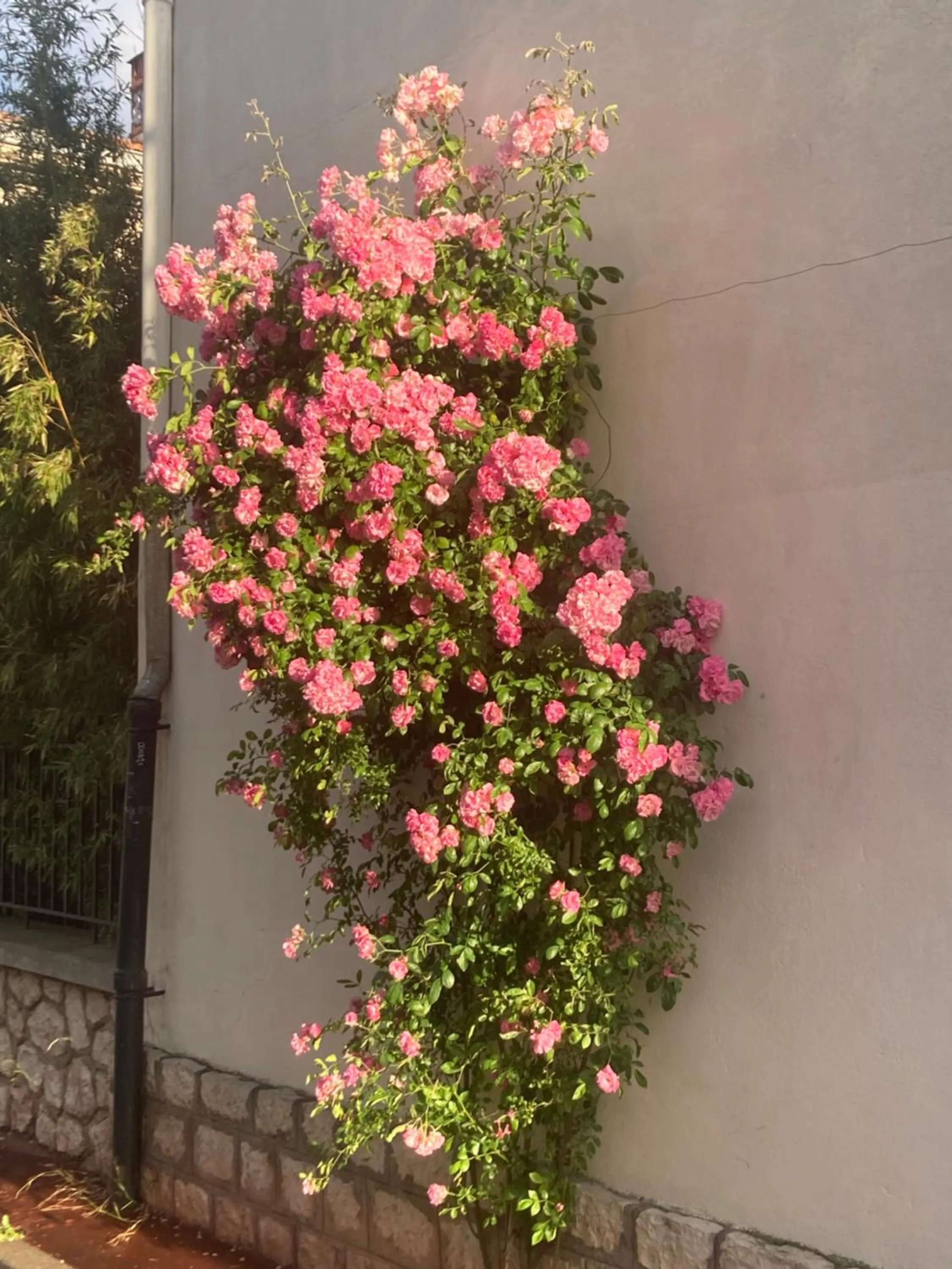 Property building in Les 4 étoiles