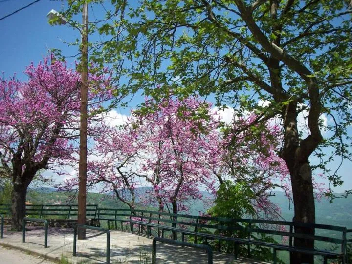 Off site in Livadaki Village