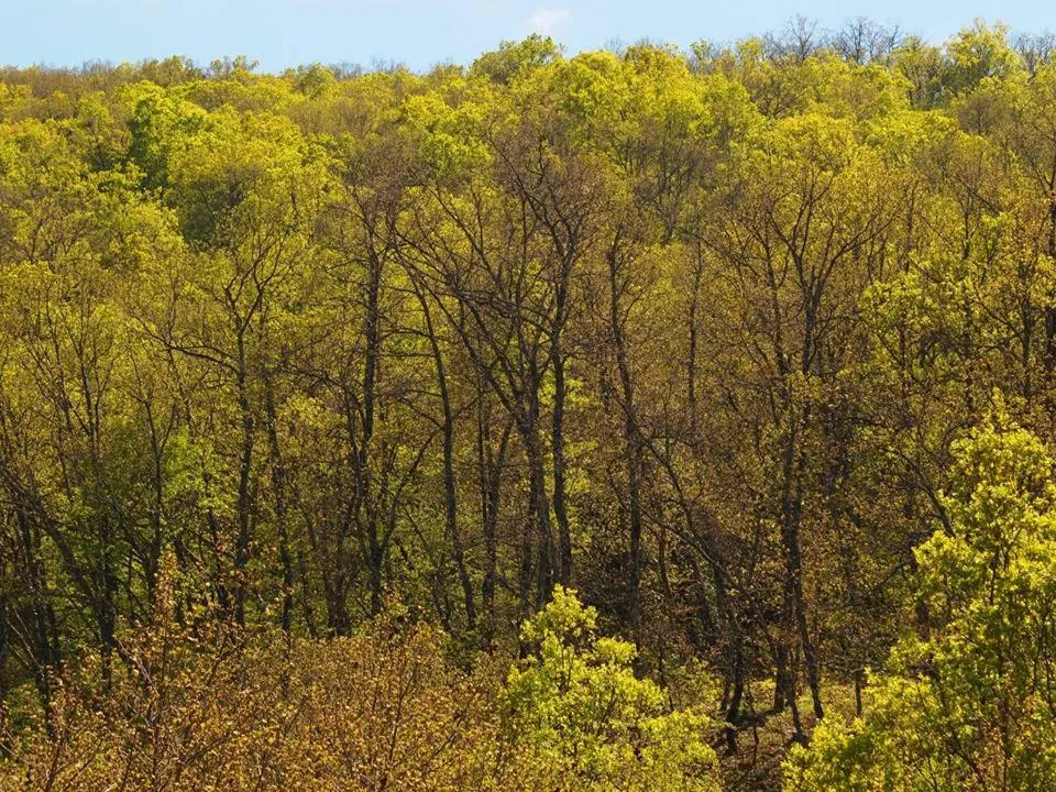 Off site in Livadaki Village