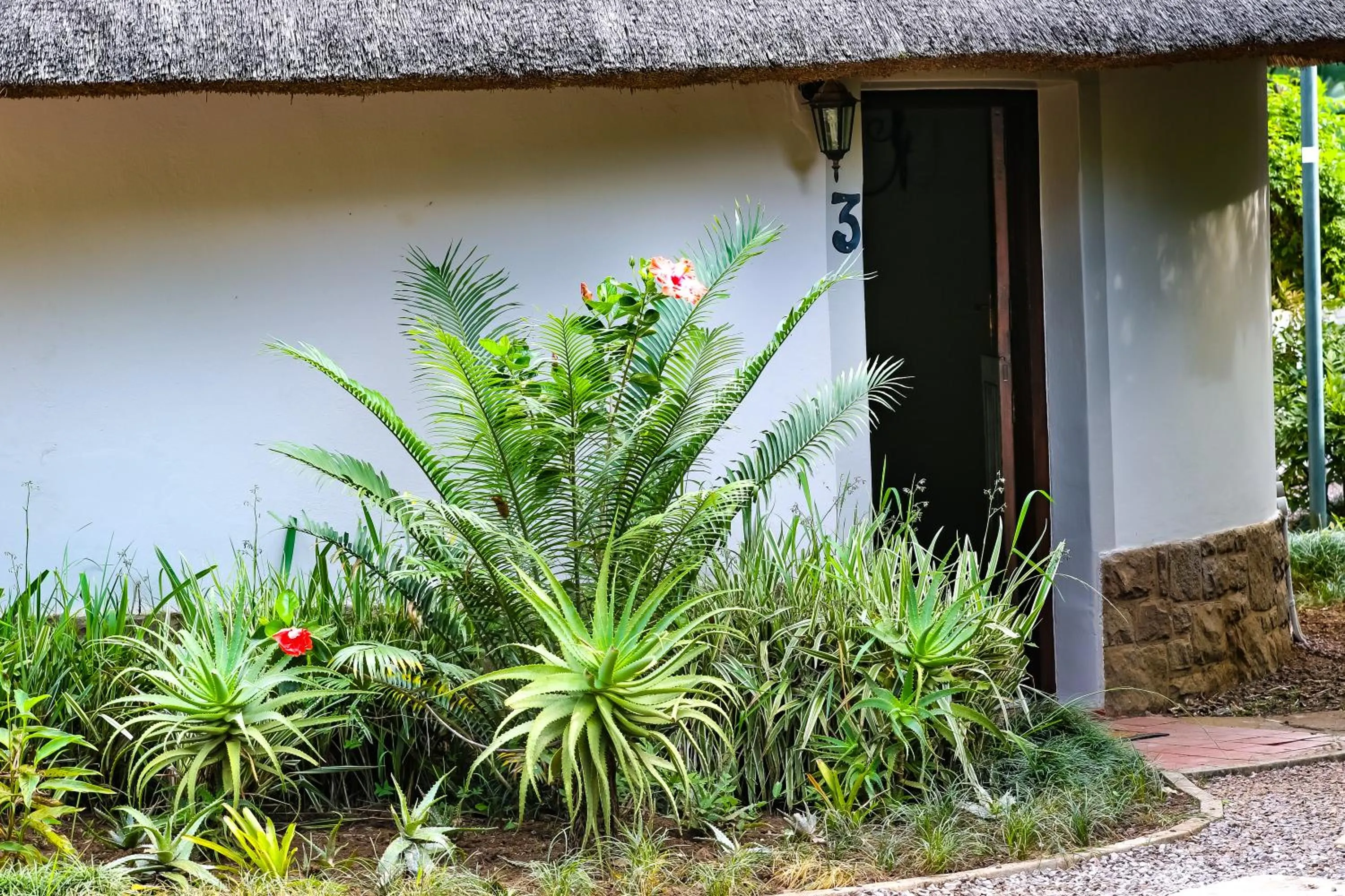 Garden view in Sibsons House