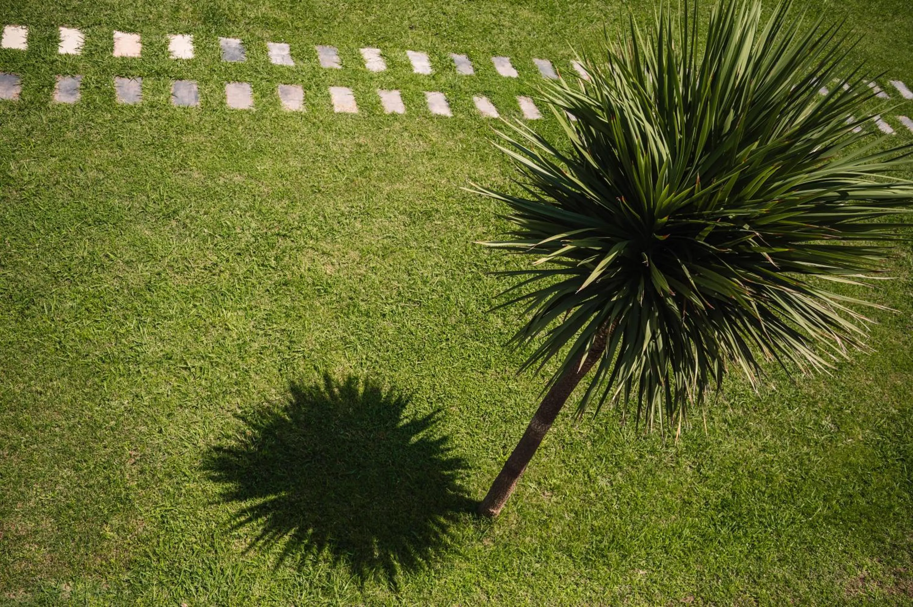 Garden view in Apartments Antique