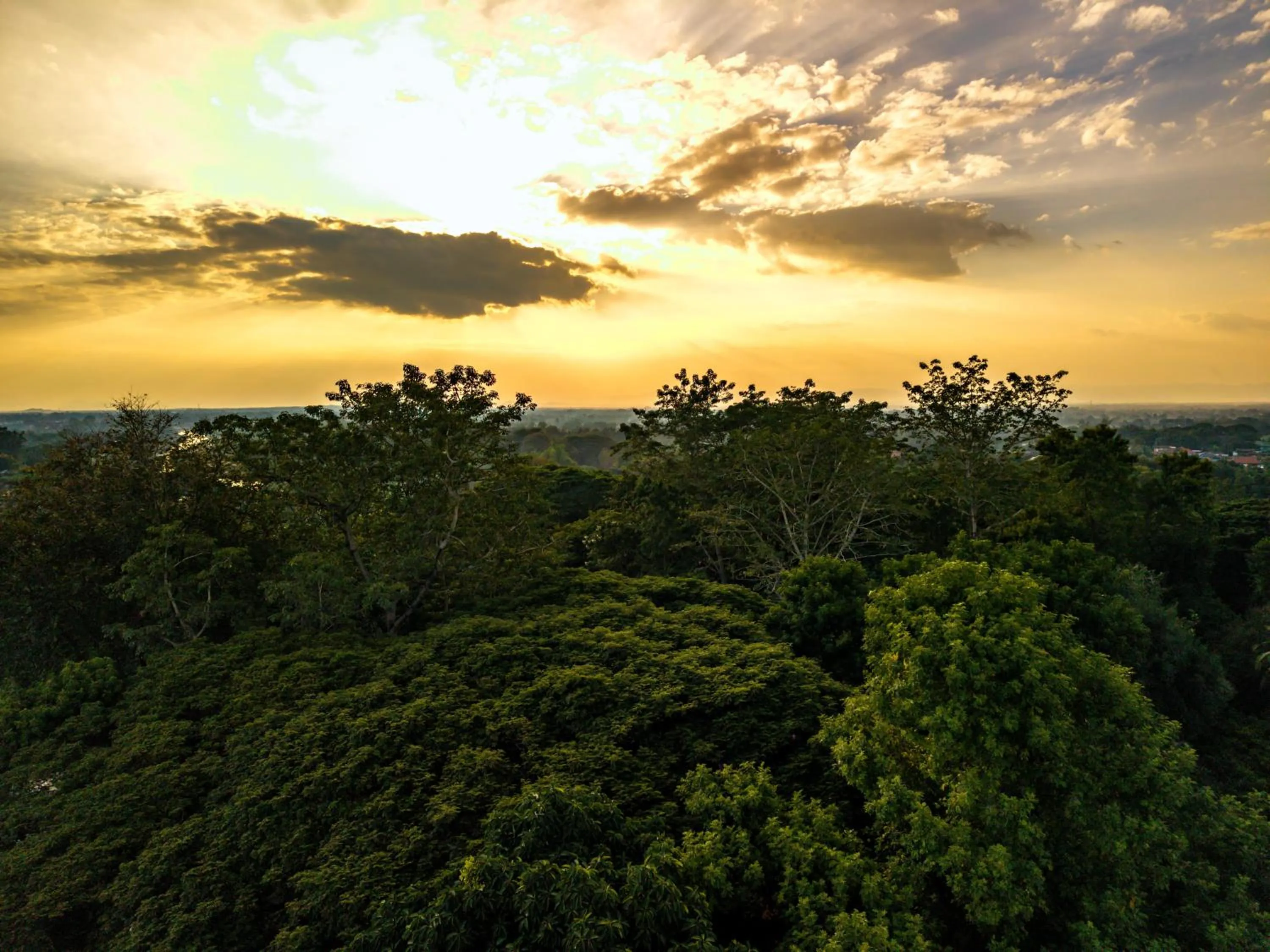 Garden in Lampang River Lodge