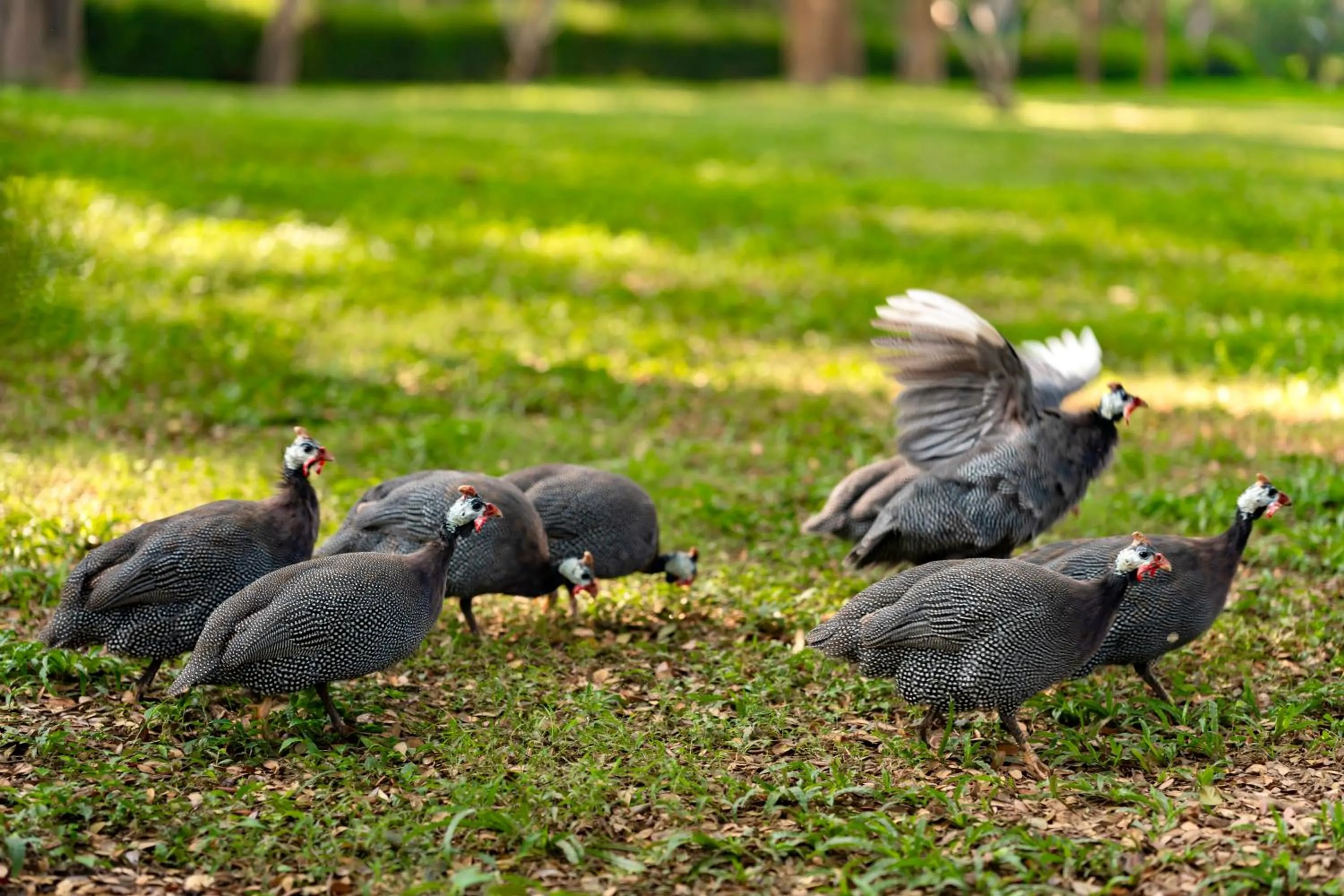 Natural landscape in Lampang River Lodge