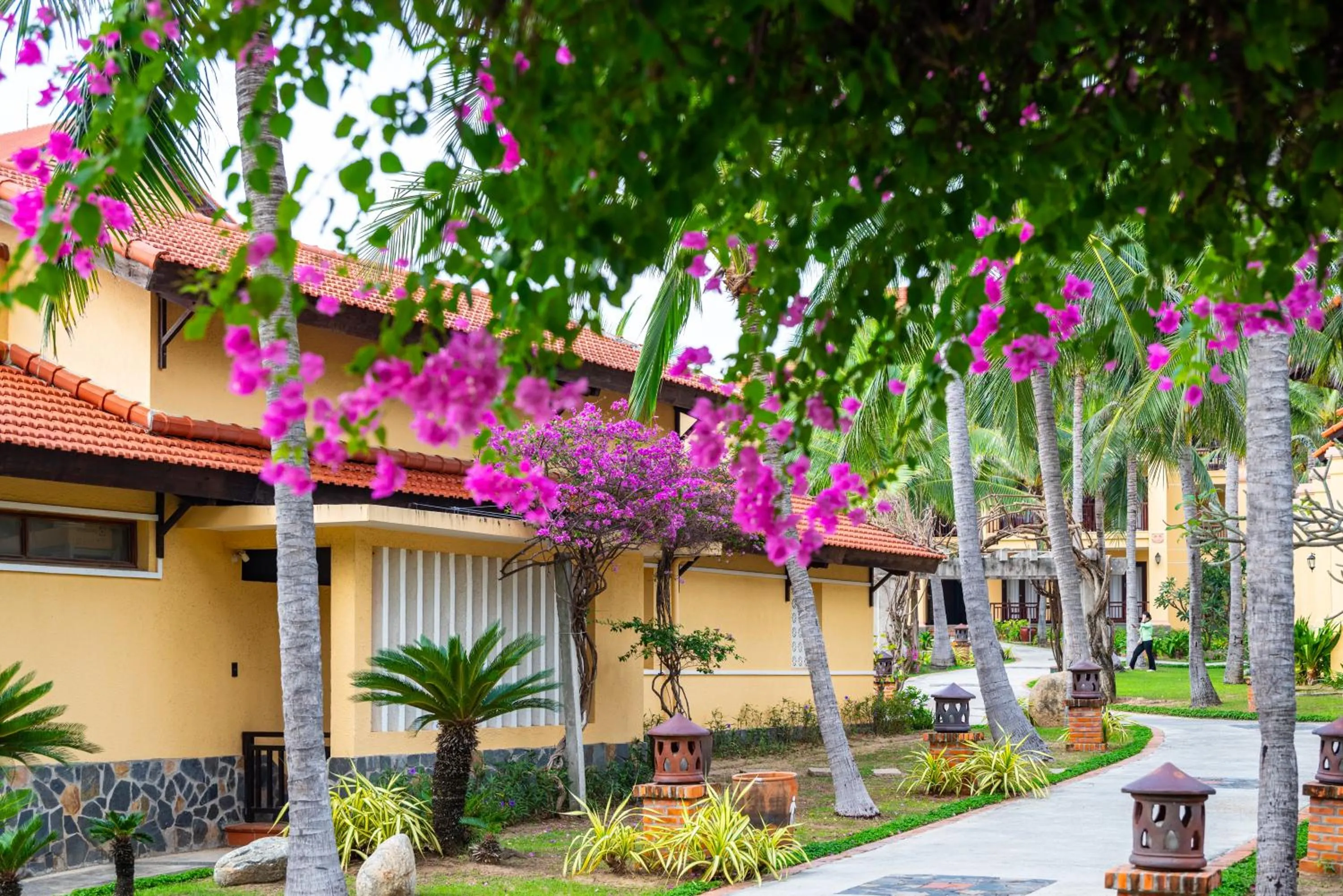 View (from property/room) in Pandanus Resort