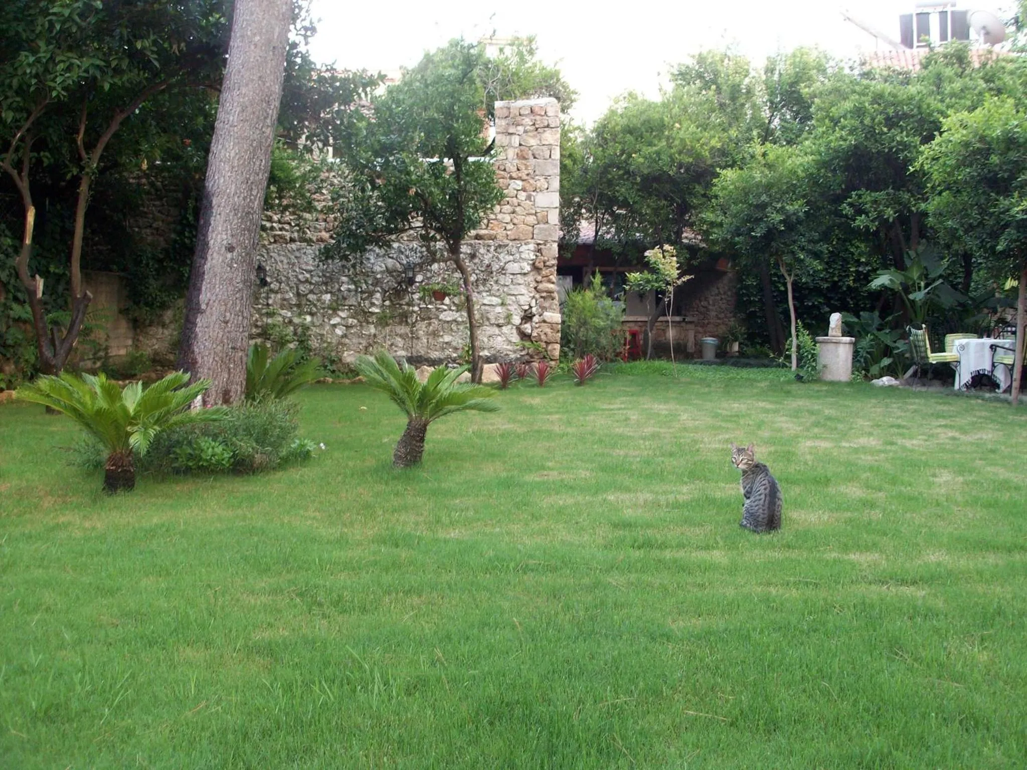 Garden in The Ninova