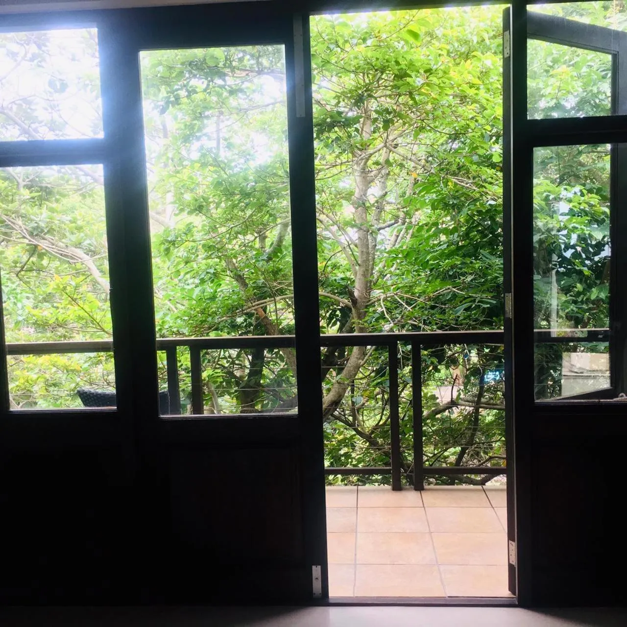 View (from property/room) in Coco De Mer Boutique Hotel