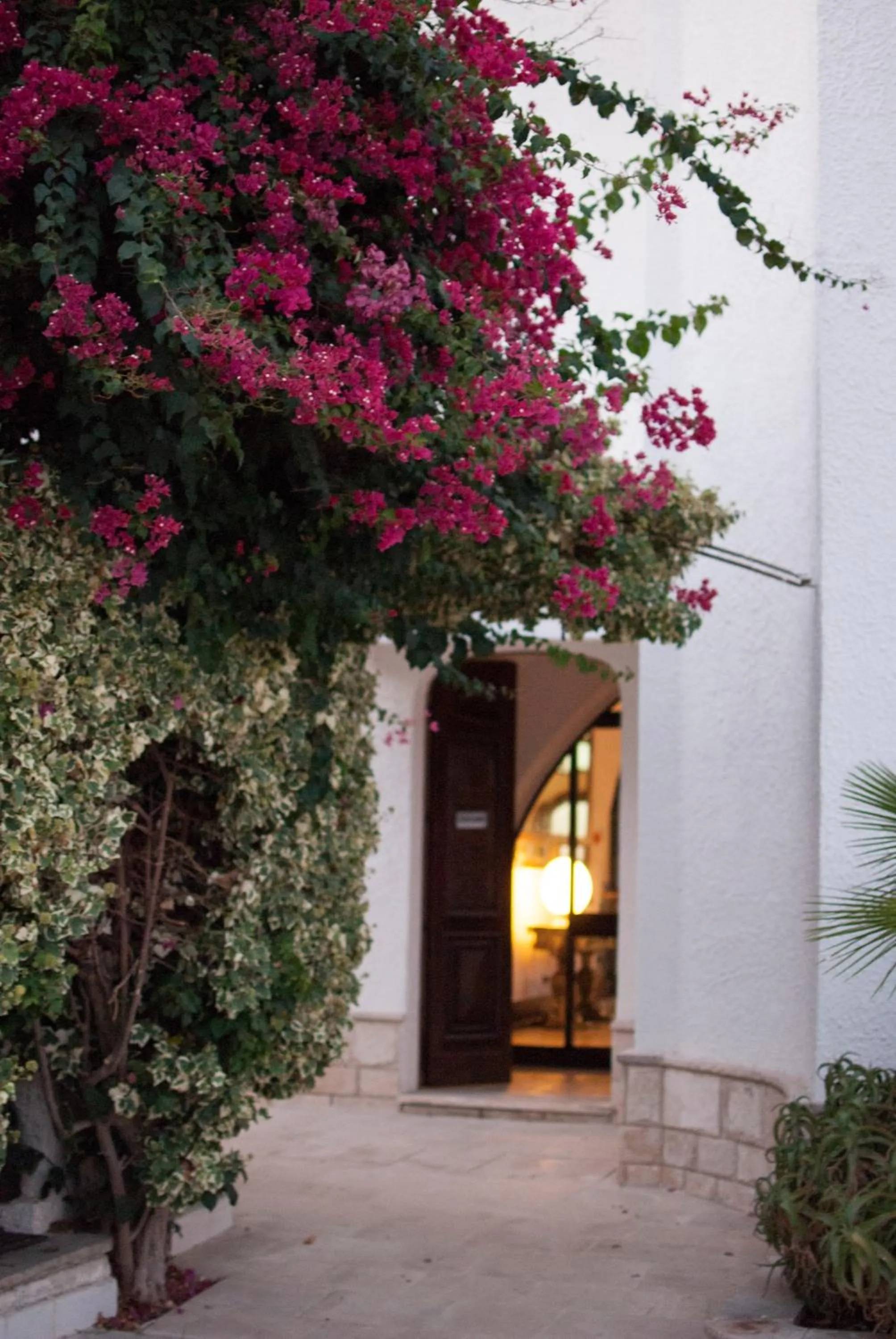 Garden view in Leone de Castris Wine Hotel