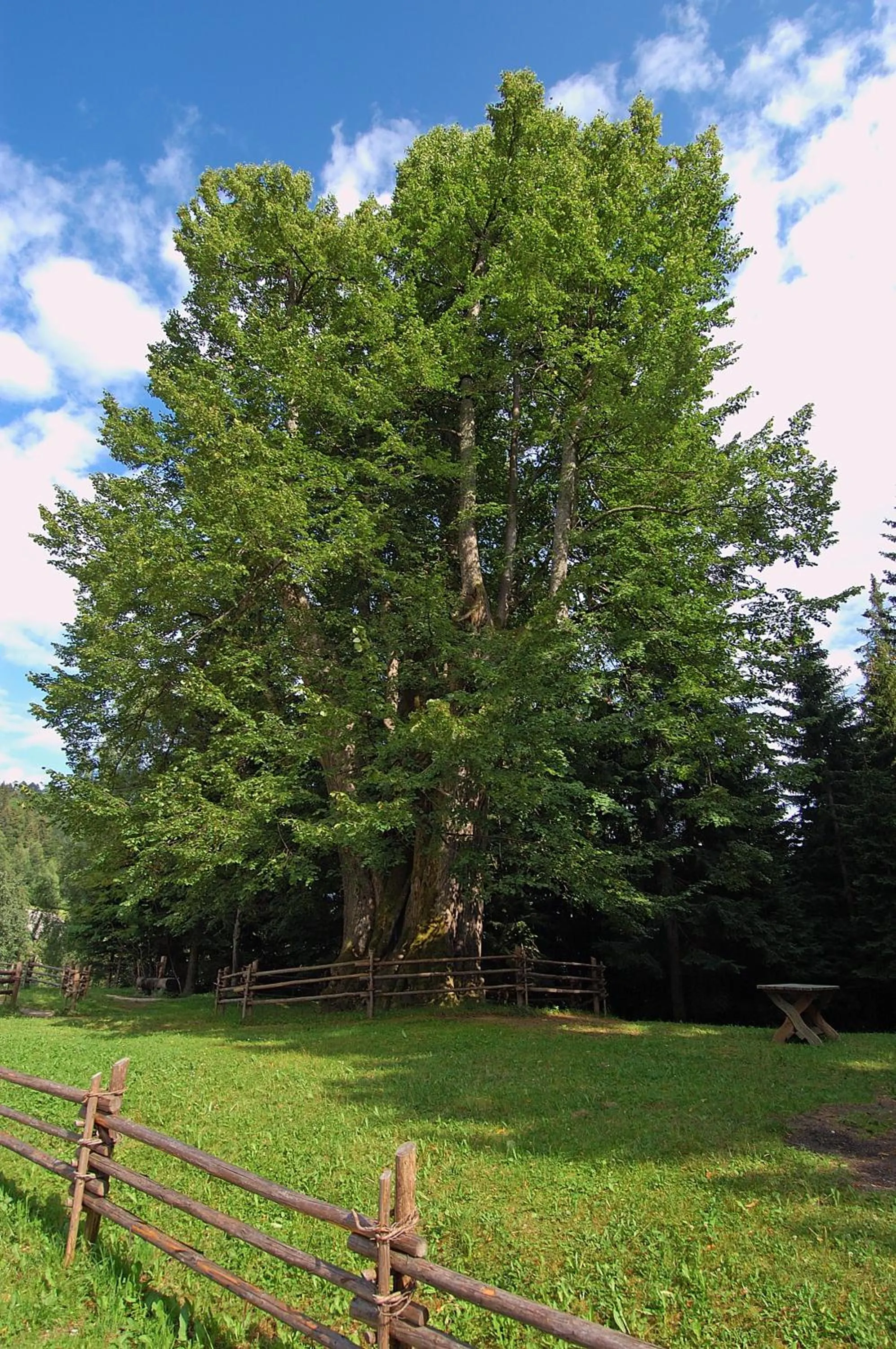 Natural landscape in Hotel Korosica